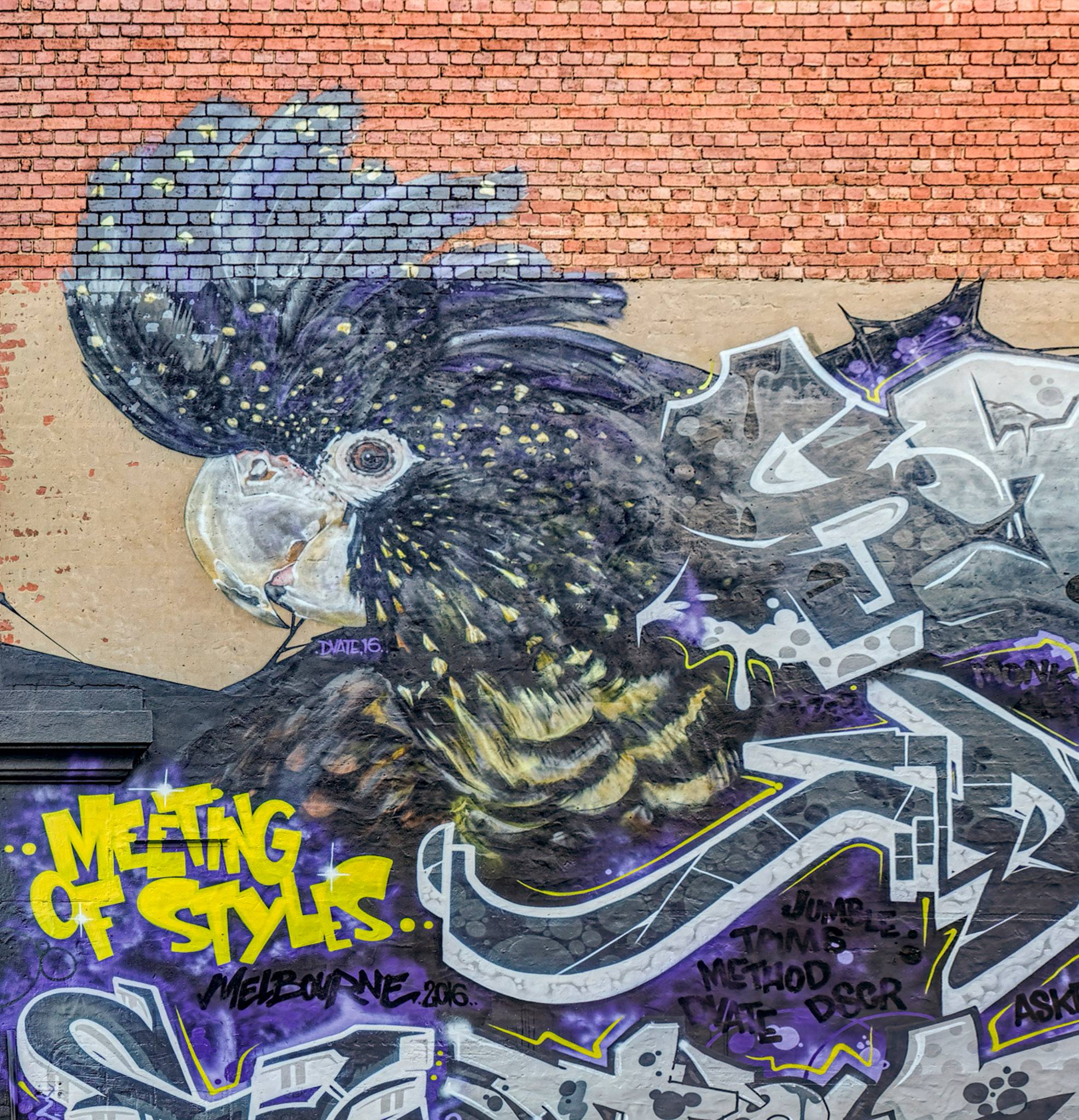 Dvate&mdash;Black Cockatoo - Meeting of Styles