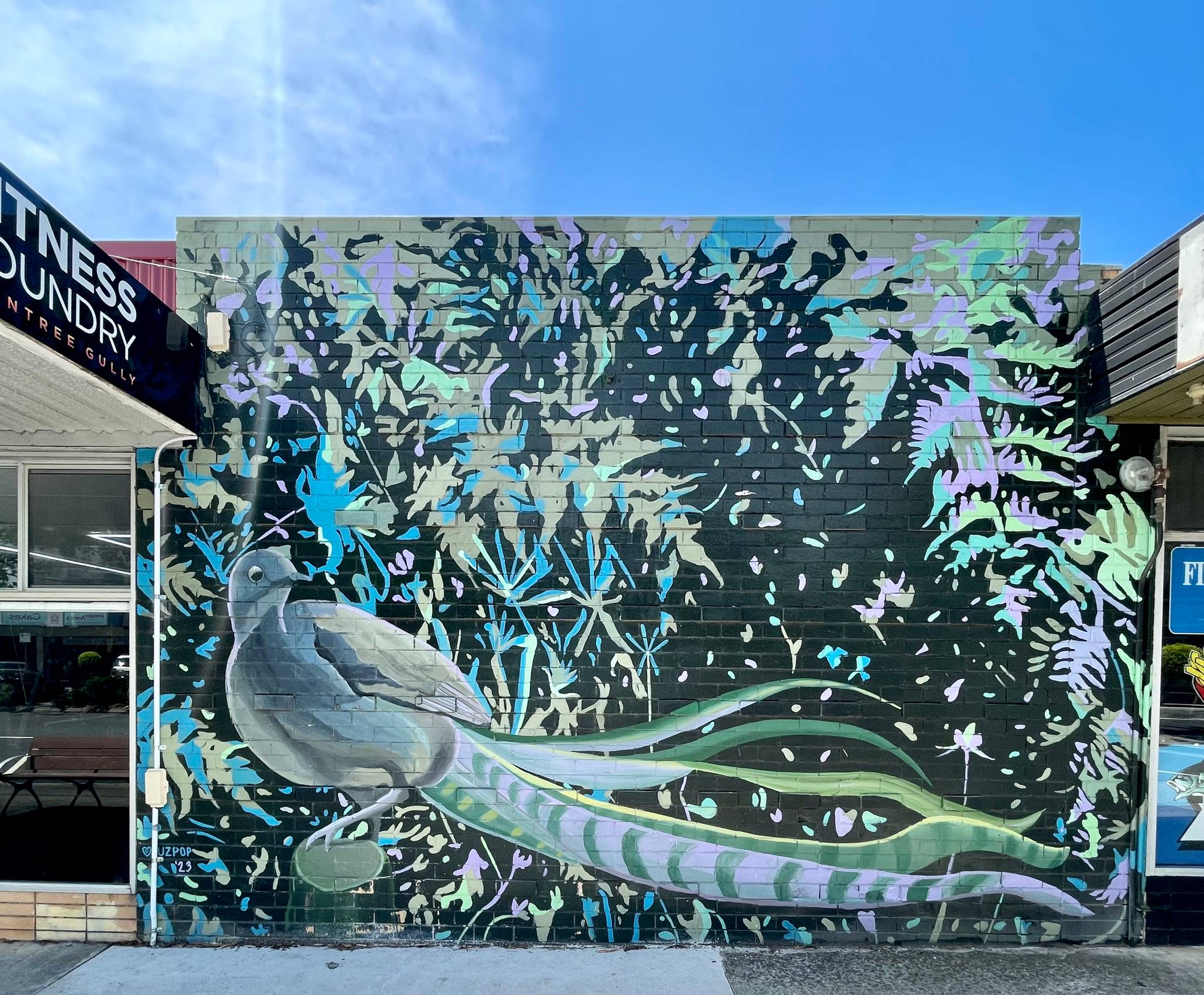 Juzpop&mdash;Lyrebird mural