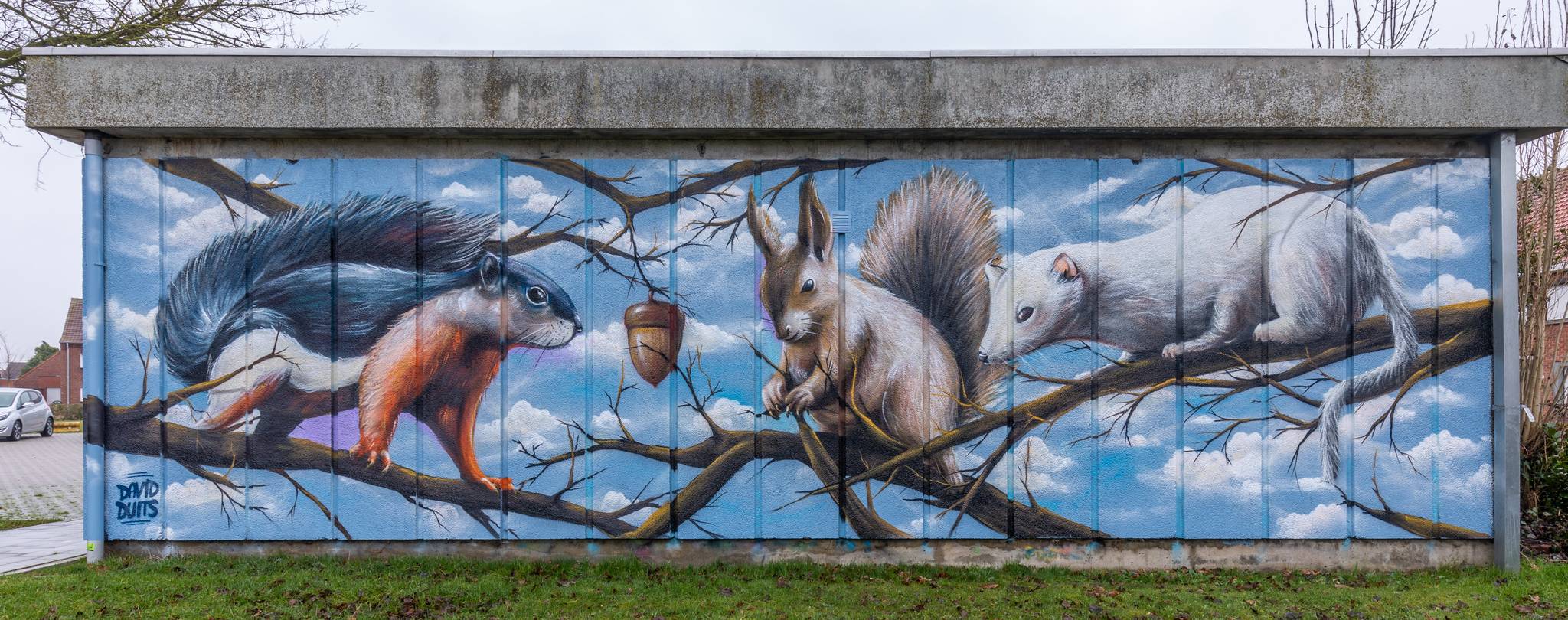 David Duits&mdash;Squirrels