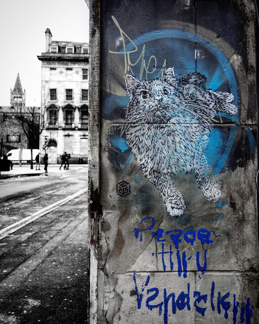 C215 Cat 