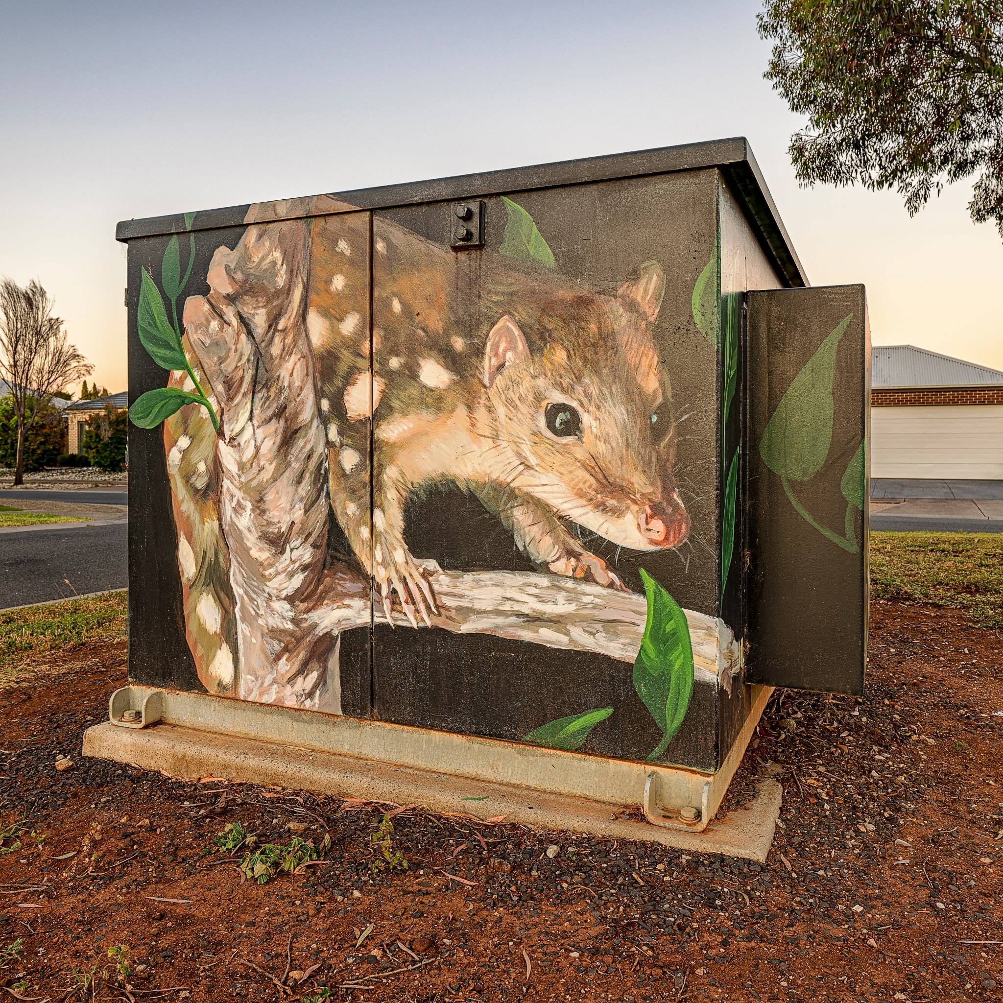 David Lee Pereira&mdash;Spotted Quoll