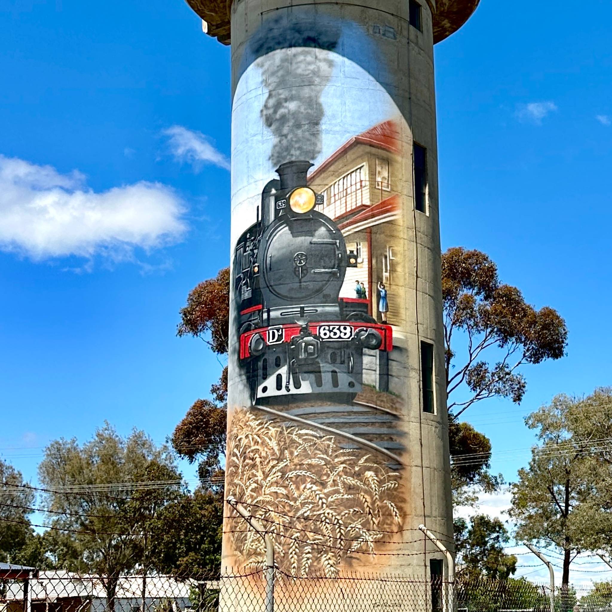 Tim Bowtell&mdash;Cressy Water Tower