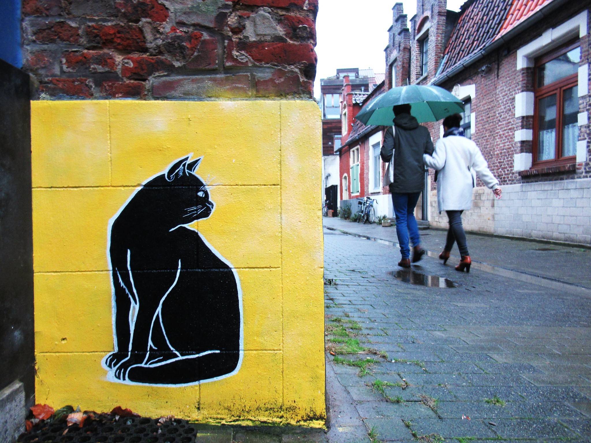 Unknown - Ghent&mdash;Black cat