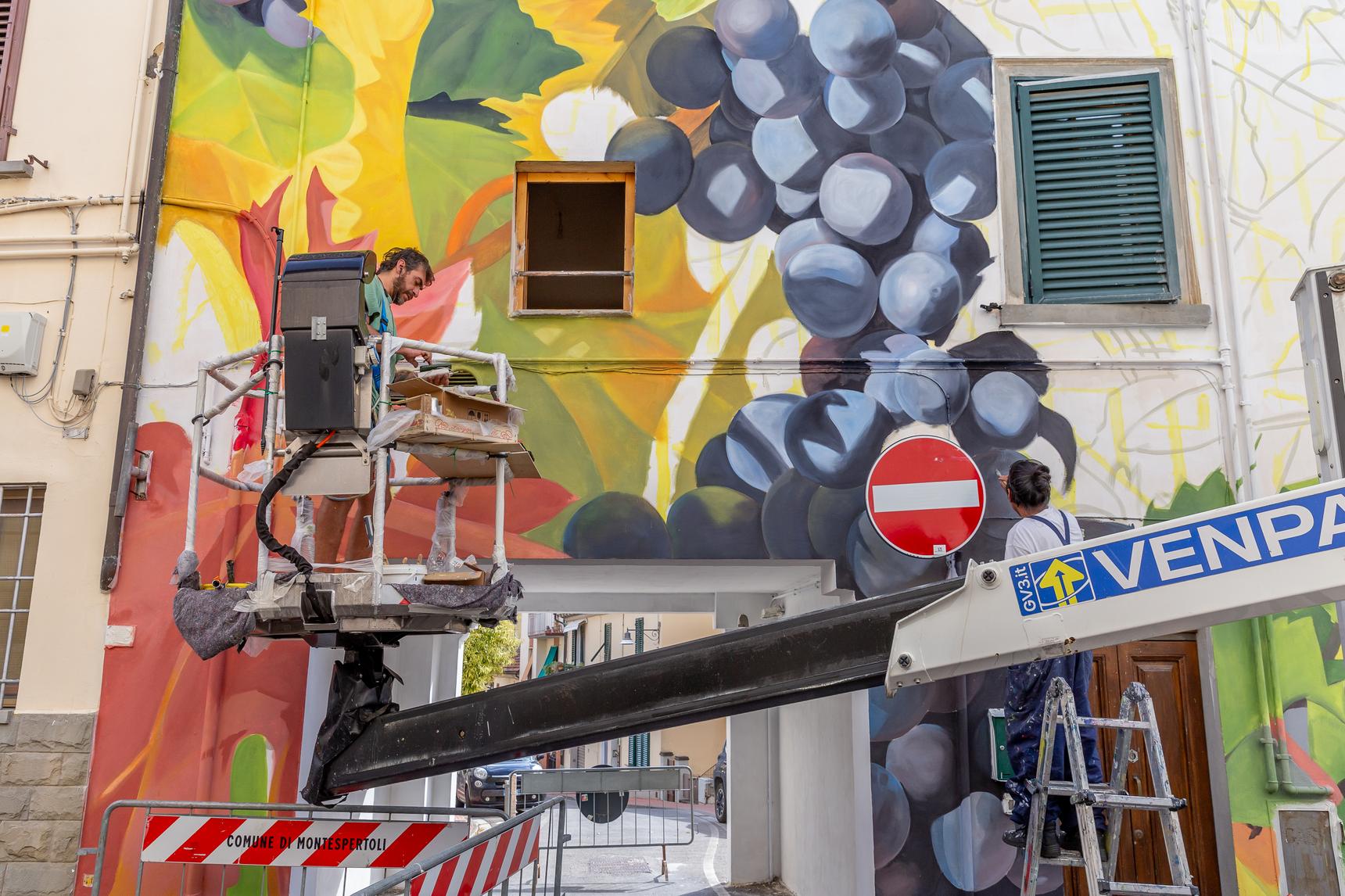 Thiago Mazza—Sangiovese e frantoio