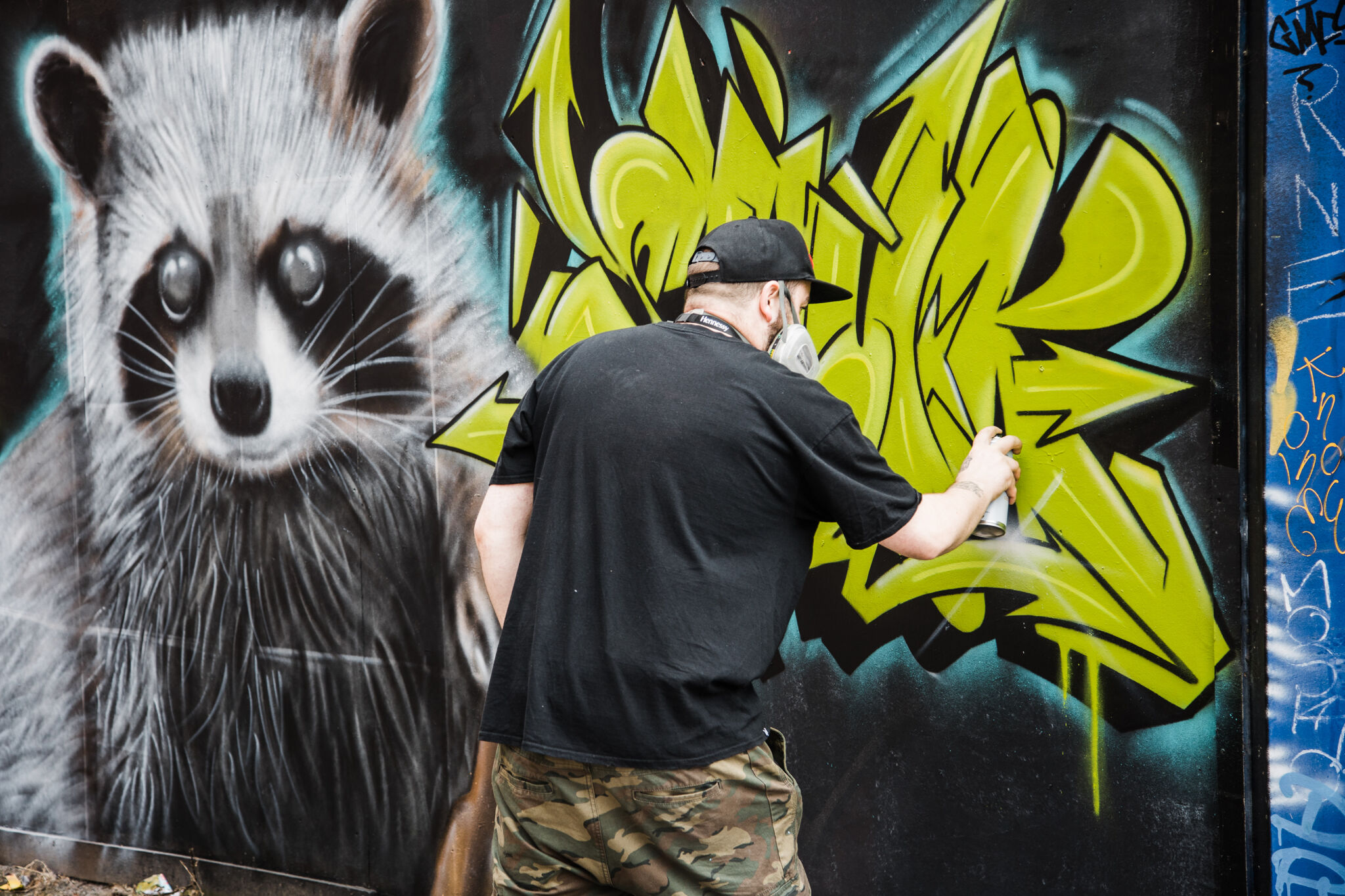 SHUK&mdash;Racoon Vandal