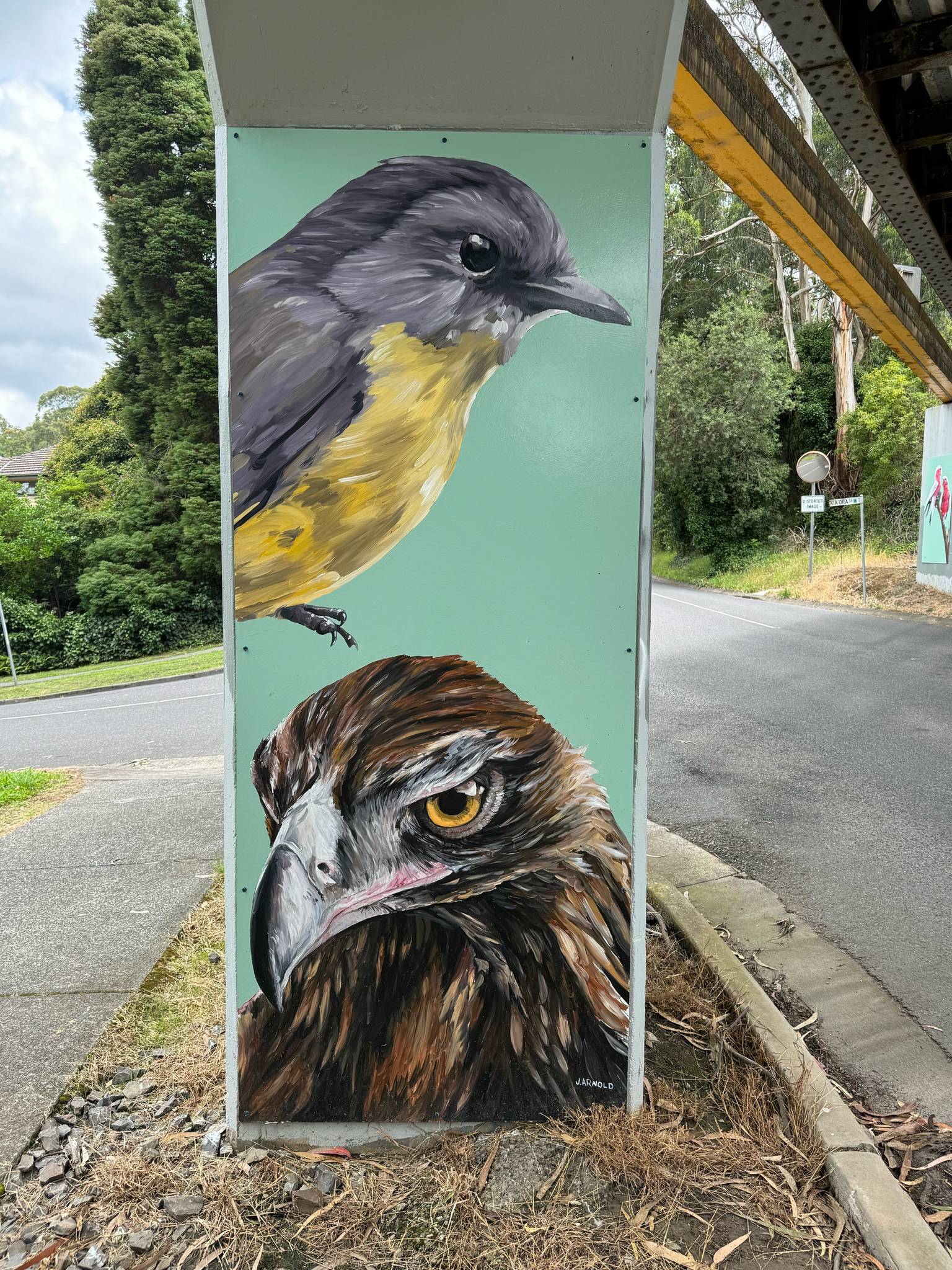 Jacob Arnold&mdash;Eastern Yellow Robin / Wedge-tailed Eagle