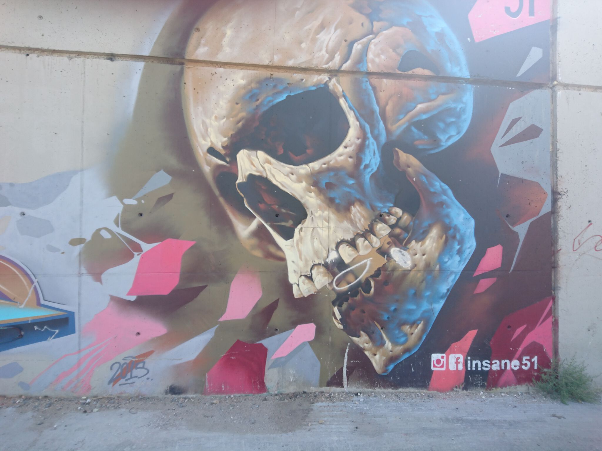 Insane 51&mdash;Skull 2015