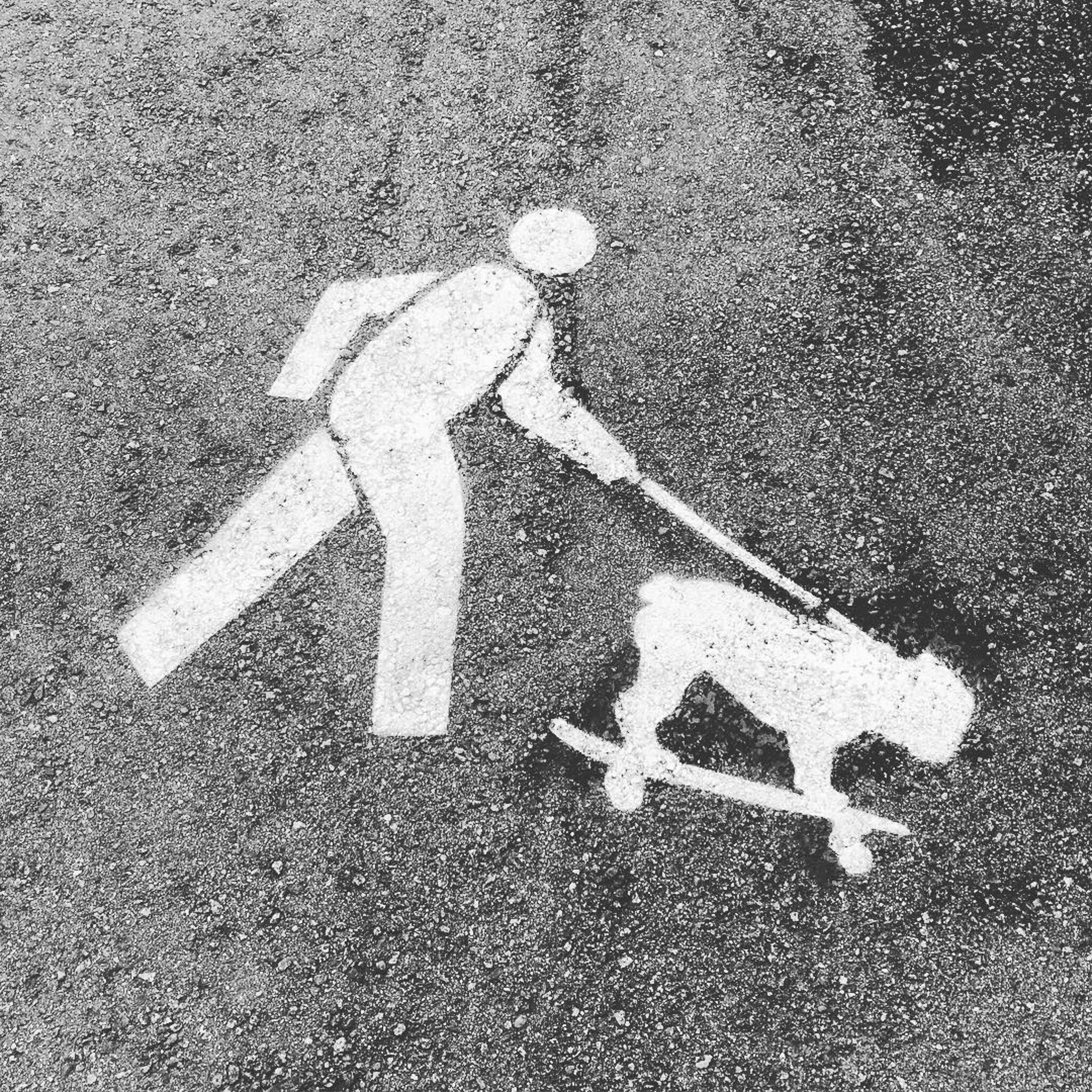 Fnnch&mdash;Dog Walkers