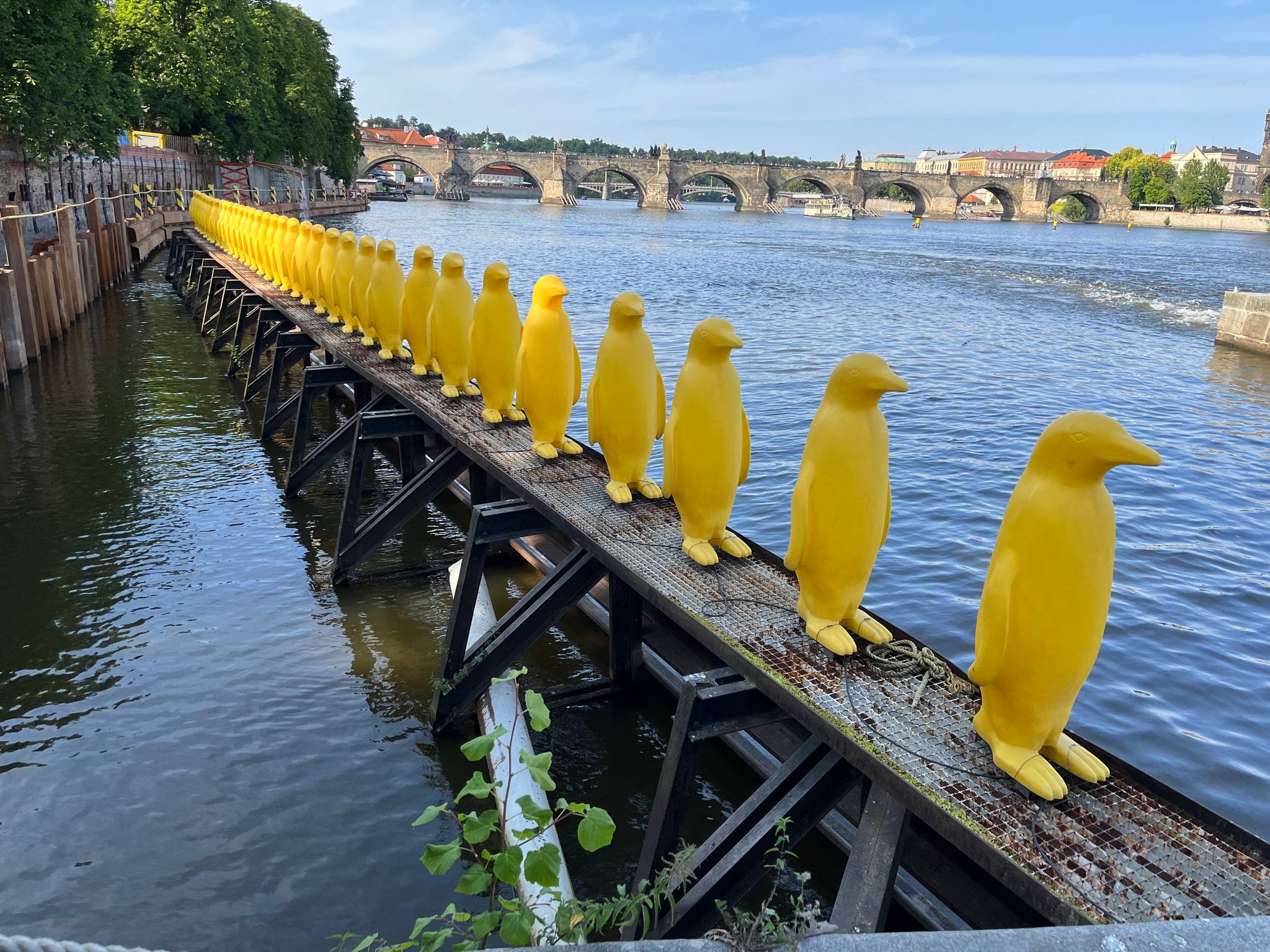 Cracking Art&mdash;34 Yellow Penguins