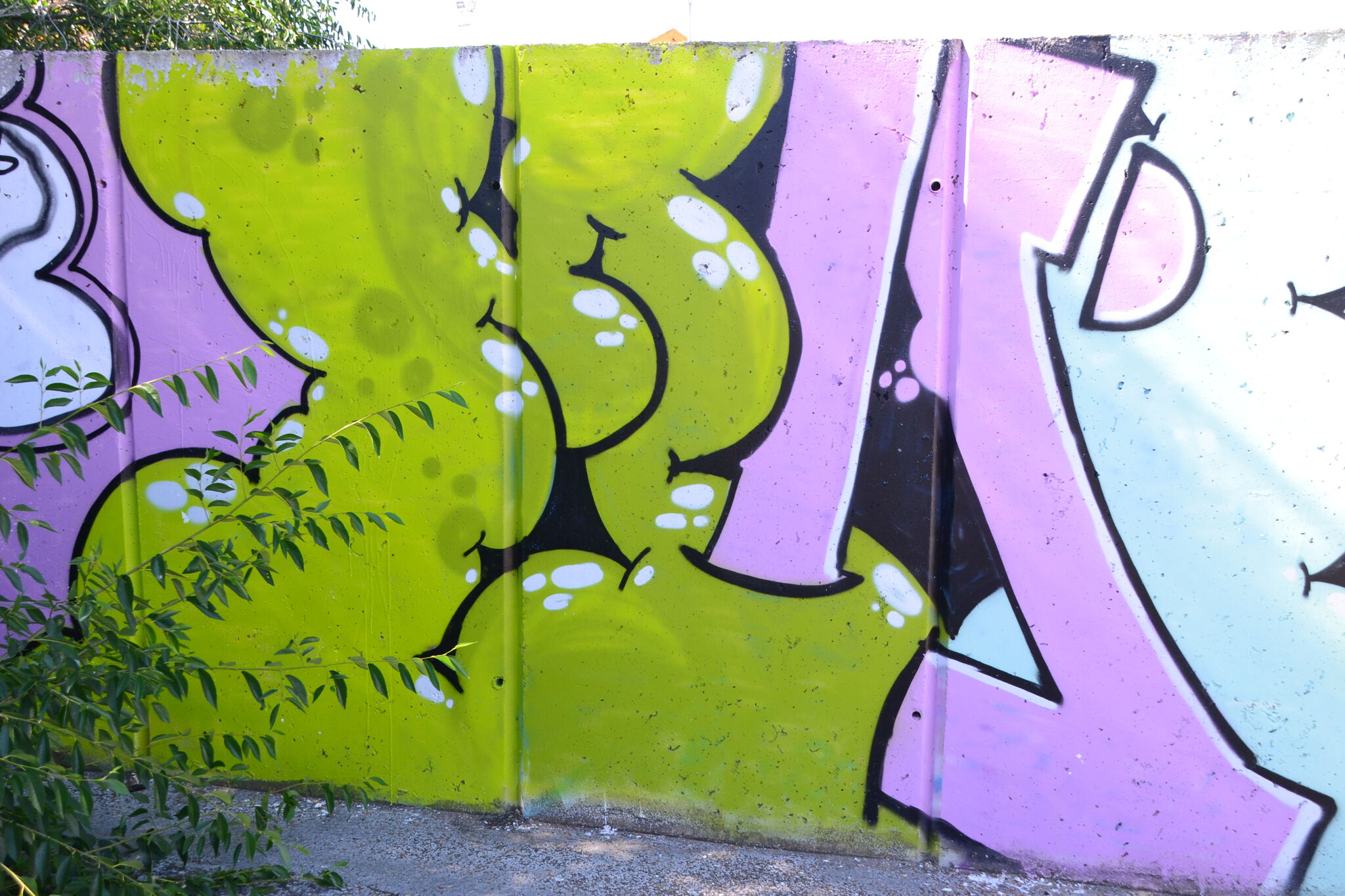 MunisCrew, Dorek&mdash;MUNIS TAG