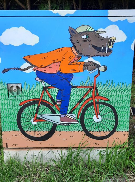 Tour Elentrik - Wild boar on the bike