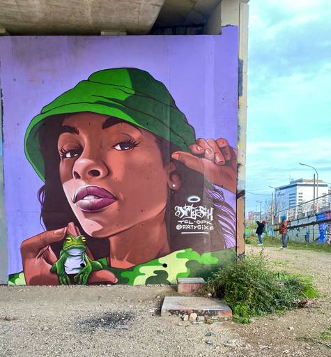 A BGirl Princess and a frog