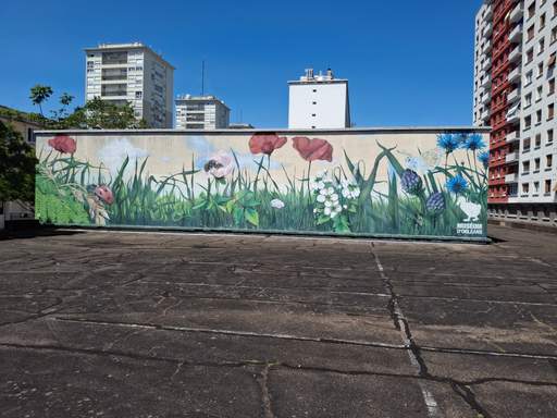 Feed item