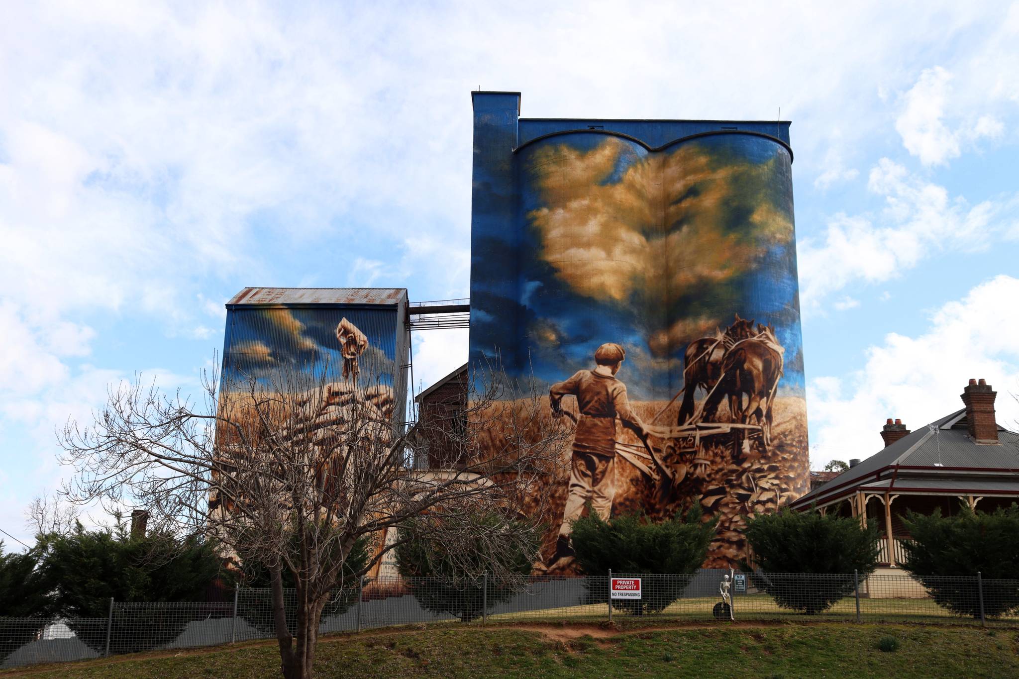 Heesco&mdash;Murrumburrah Mill Silo Art Stage 1