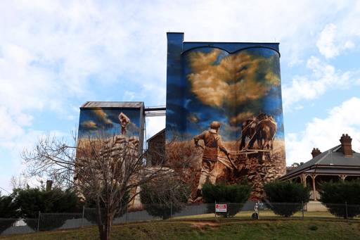 Murrumburrah Mill Silo Art Stage 1