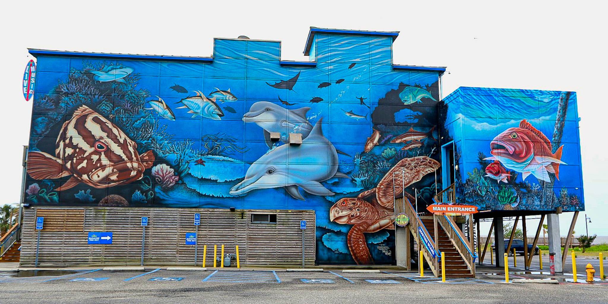 Marty Wilson&mdash;The Reef Mural