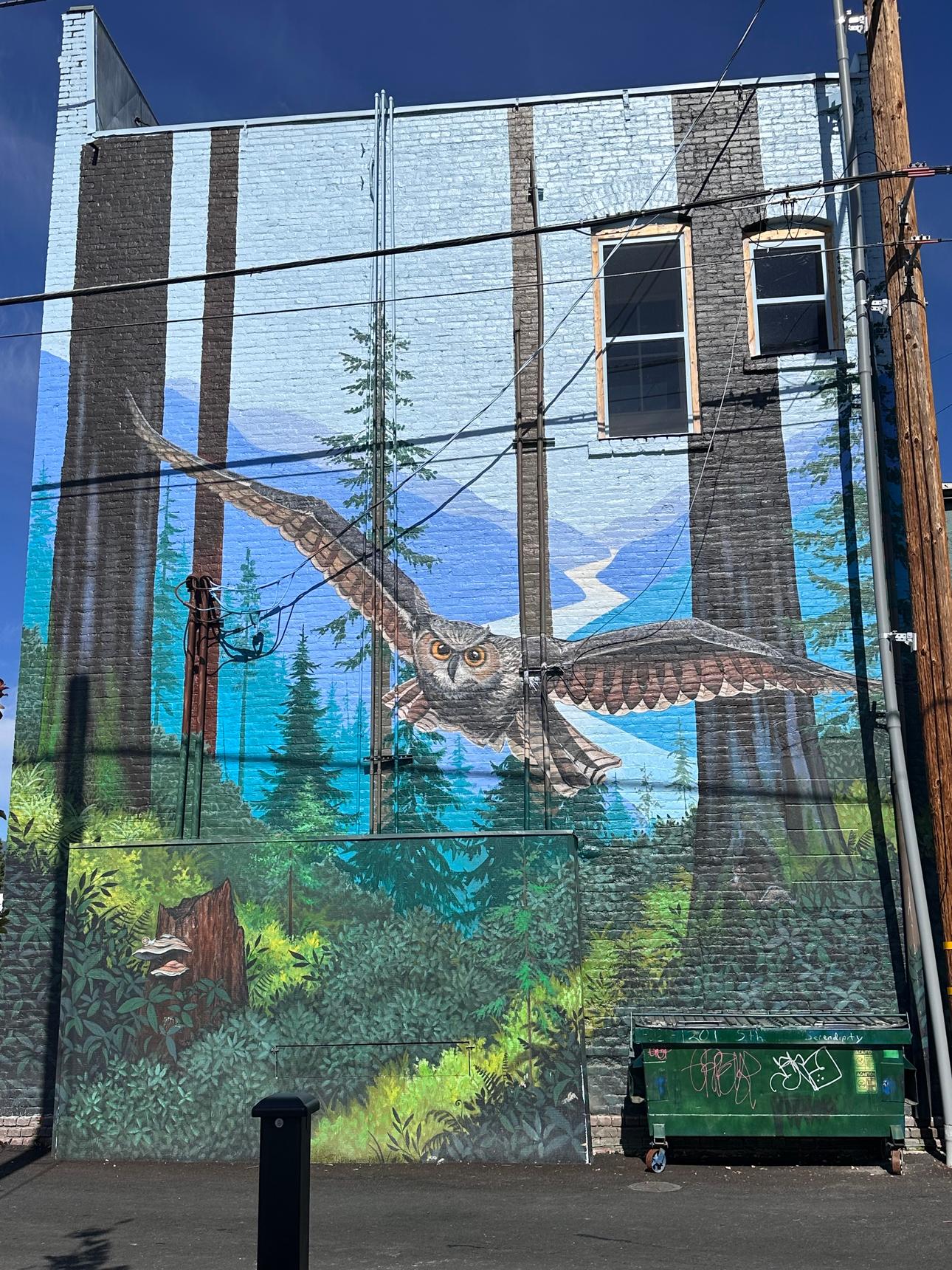 Cate Battles—Great Horned Owl