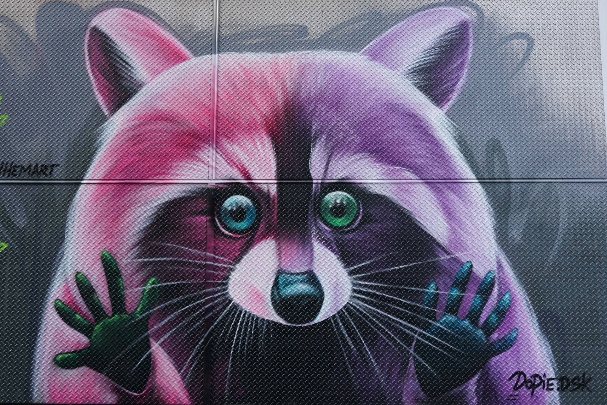 Dopie.dsk, Esone&mdash;Raccoon & The city of colours