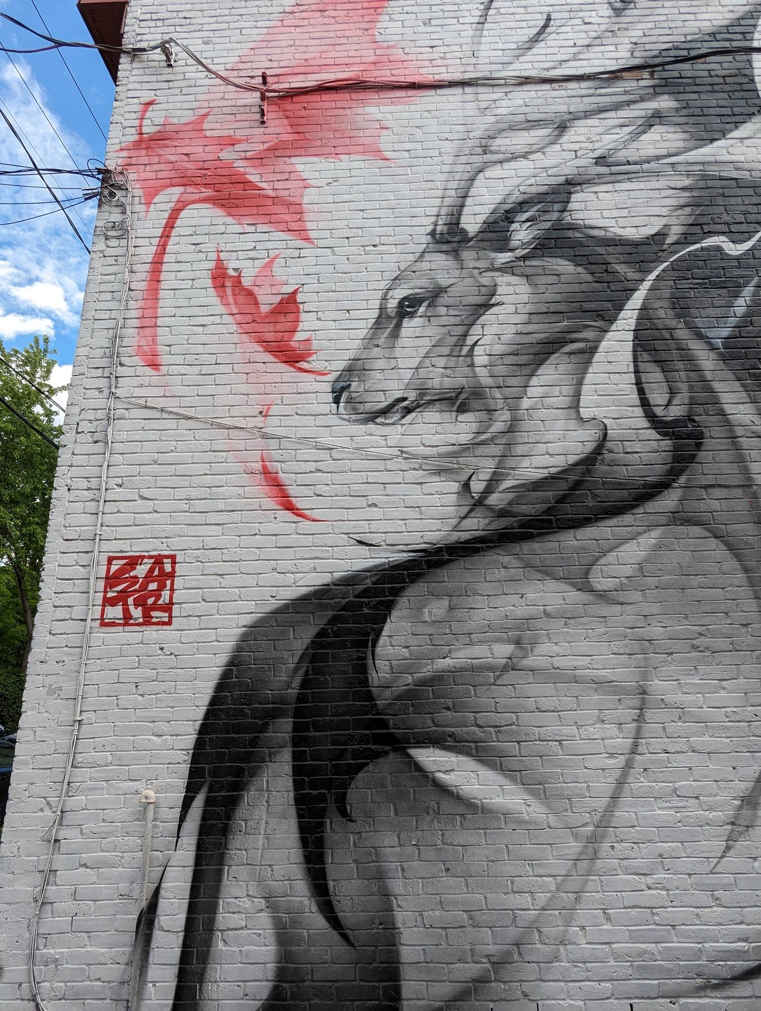 Satr, Street Art In Action&mdash;Canada