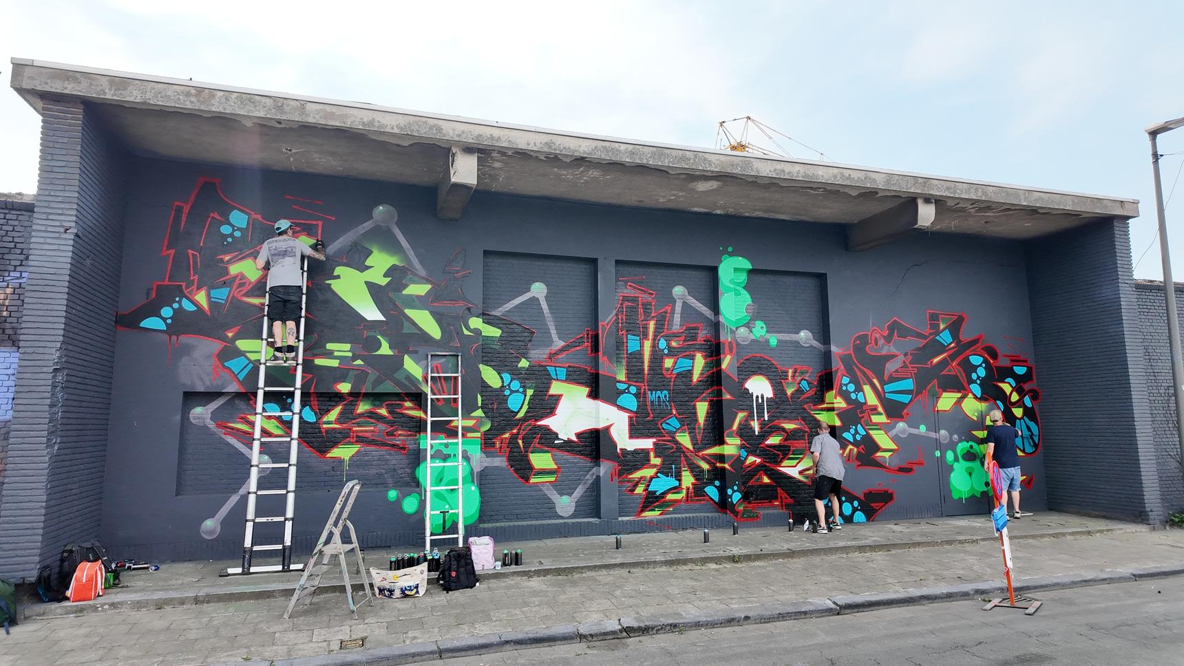 Ryck Wane, elnino76, Reset 81—MoS Belgium 26