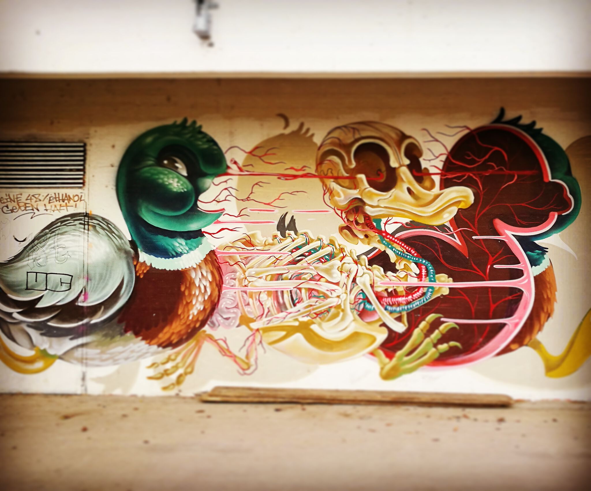Nychos&mdash;Dissection of a duck