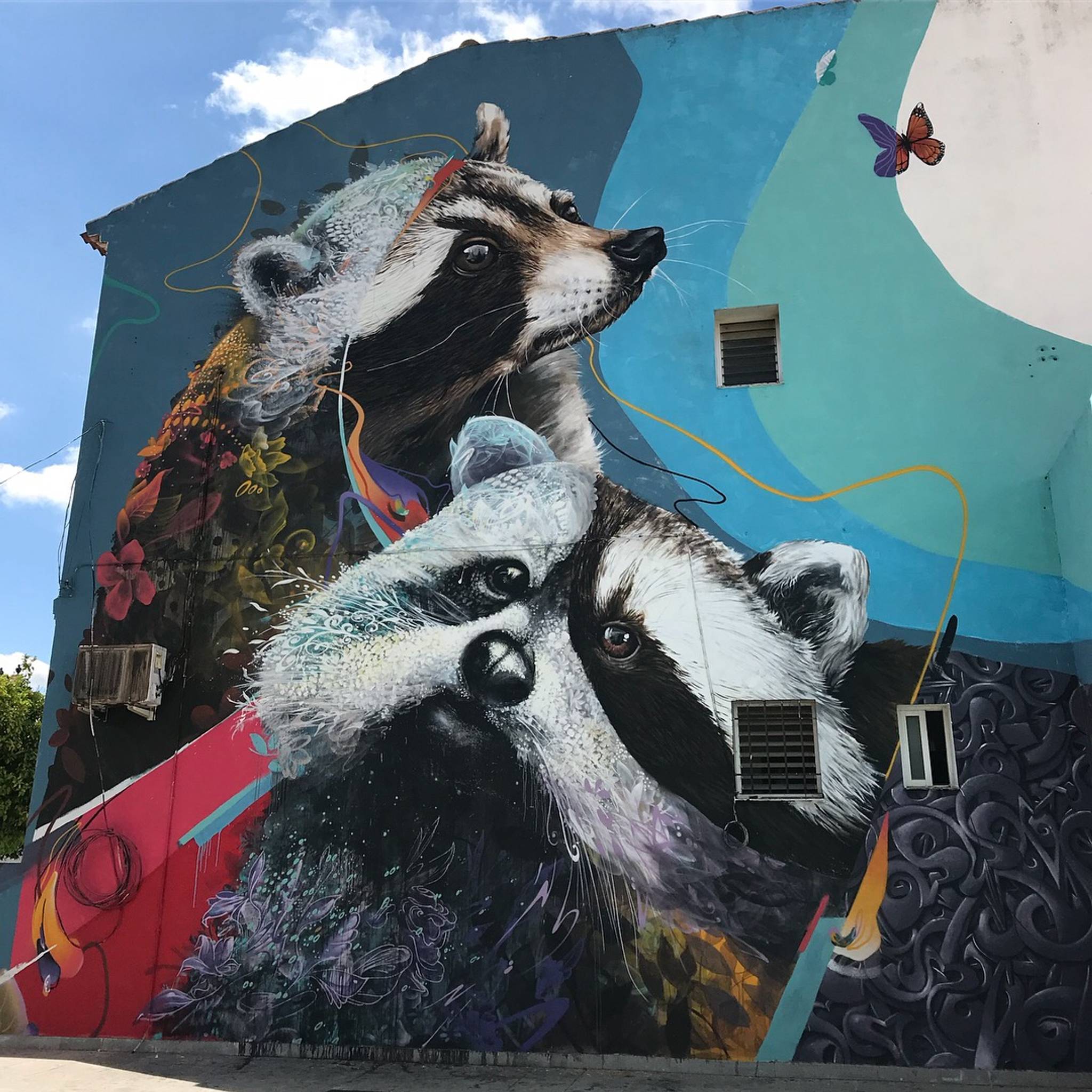 Ernesto Maranje&mdash;"Racoons"