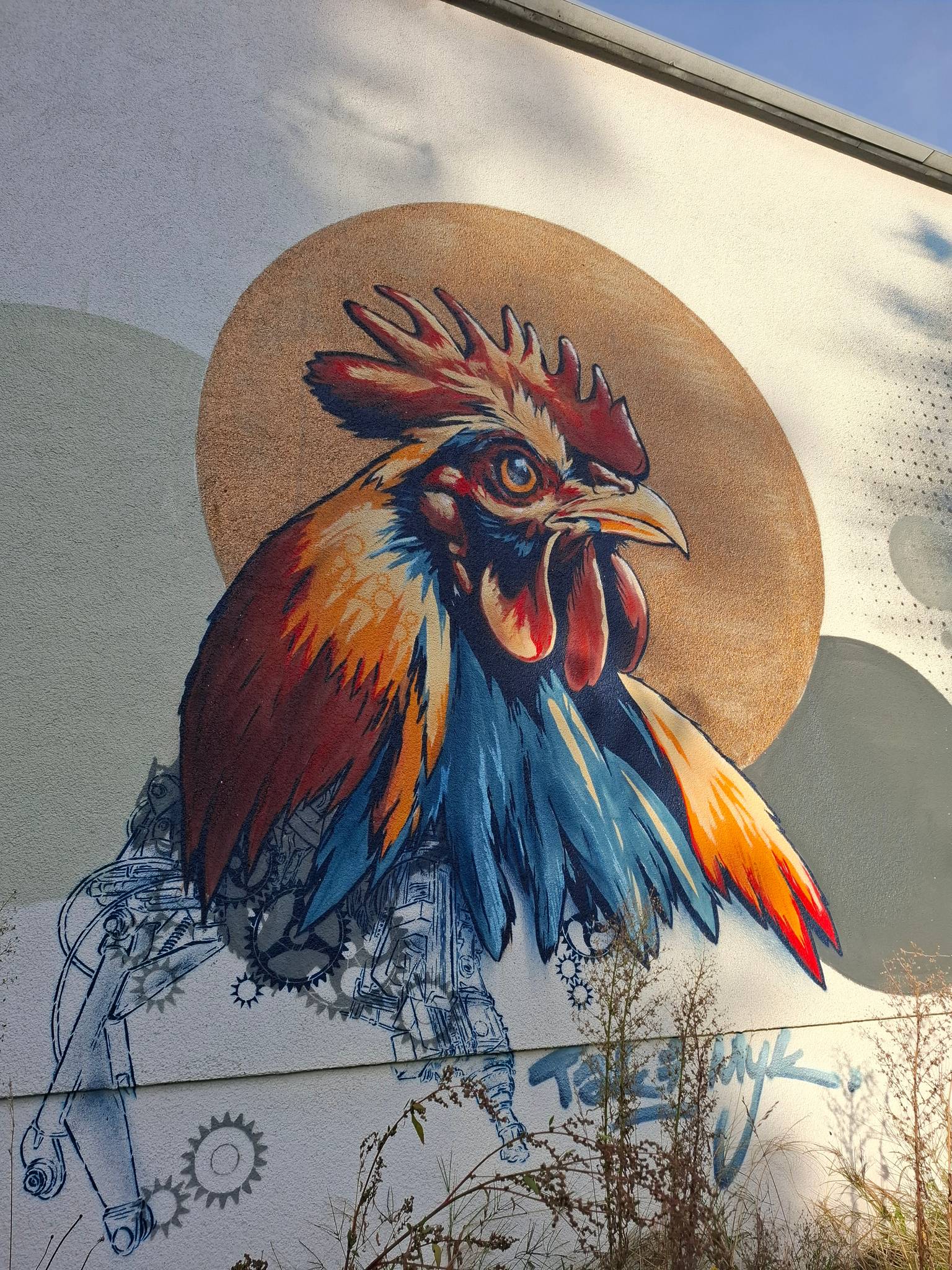 Taki Myk&mdash;Rooster