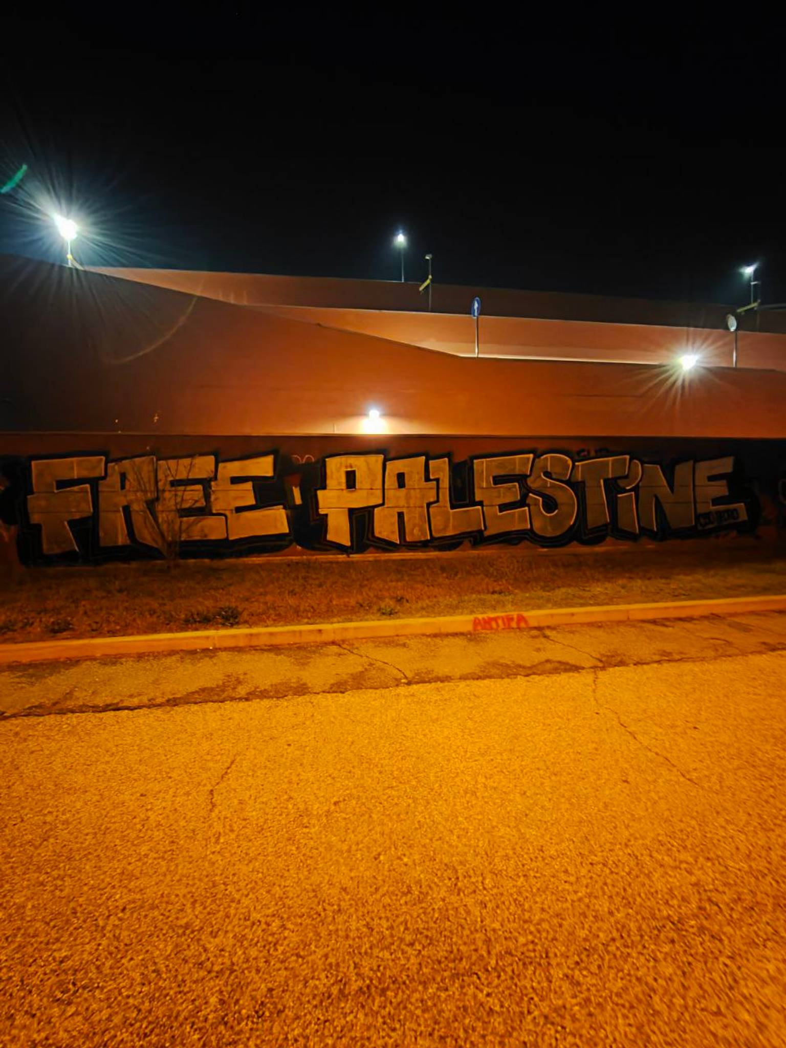 CSO pedro&mdash;Free palestine