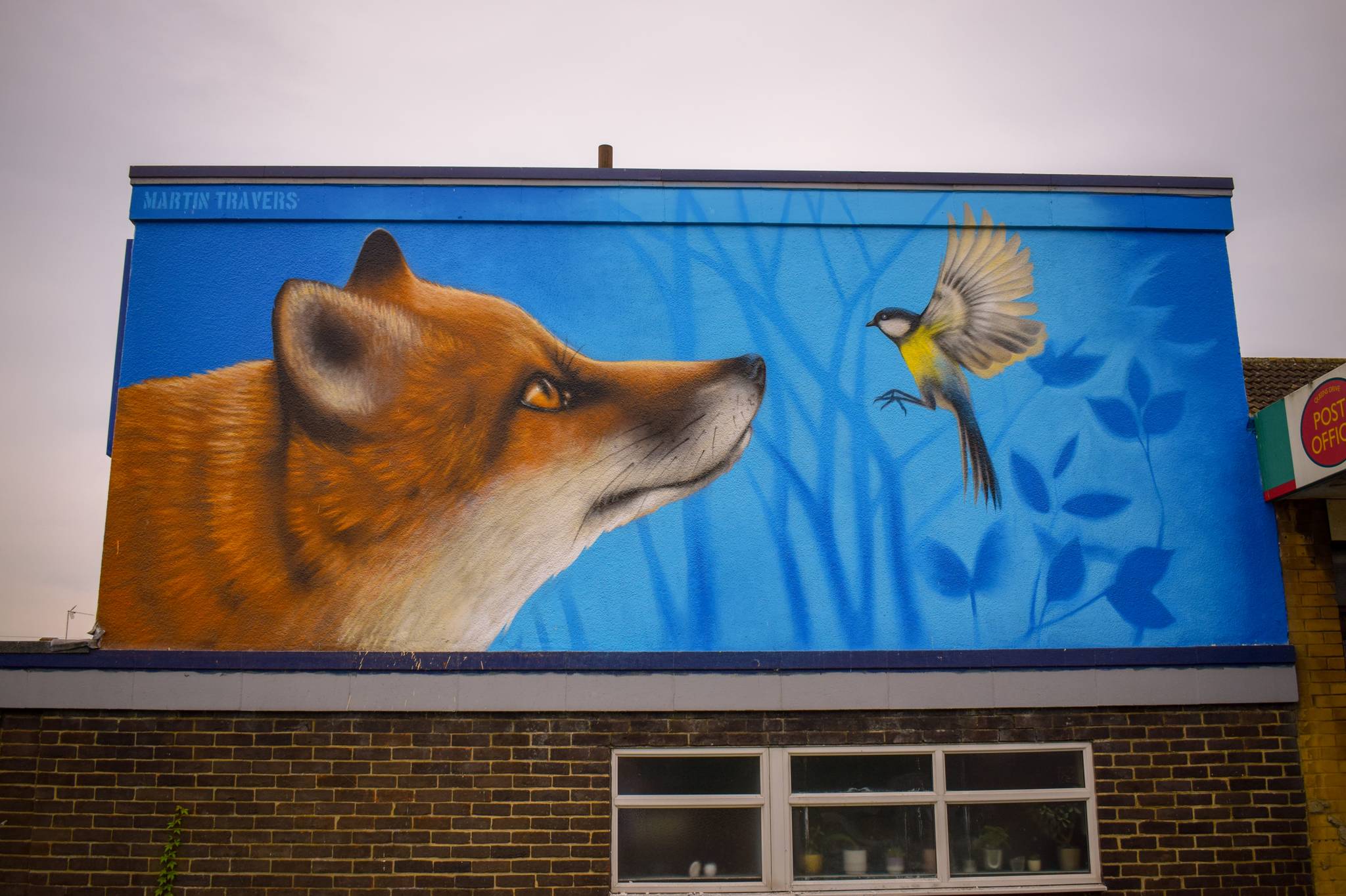 Martin Travers&mdash;Fox & Bluetit