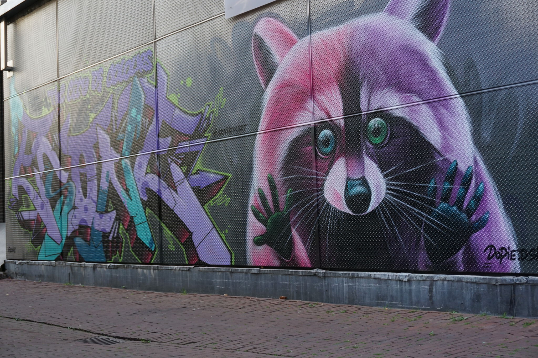 Dopie.dsk, Esone&mdash;Raccoon & The city of colours