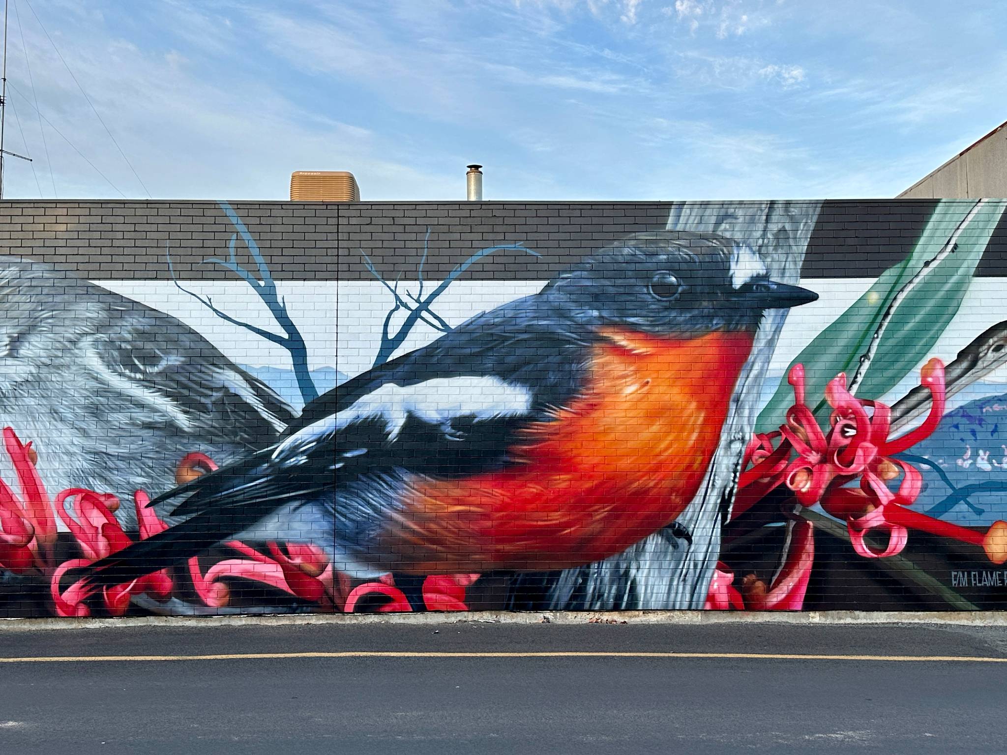 Dvate&mdash;Flame Robins & Flame Grevillea