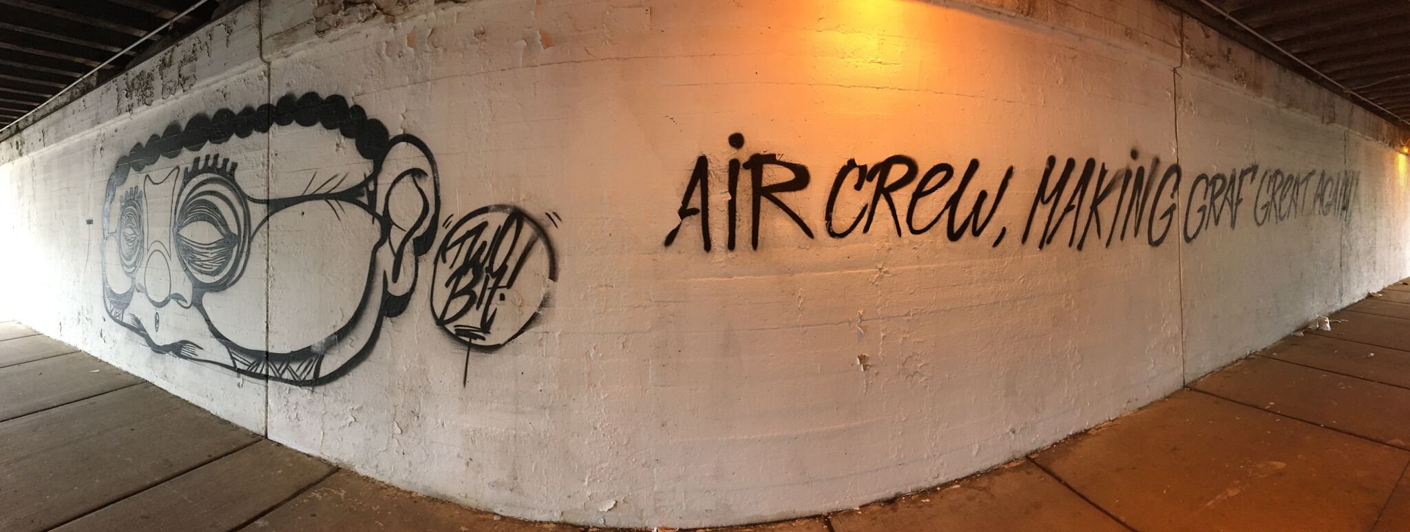 two bit&mdash;Air Crew - making Graffiti great again!