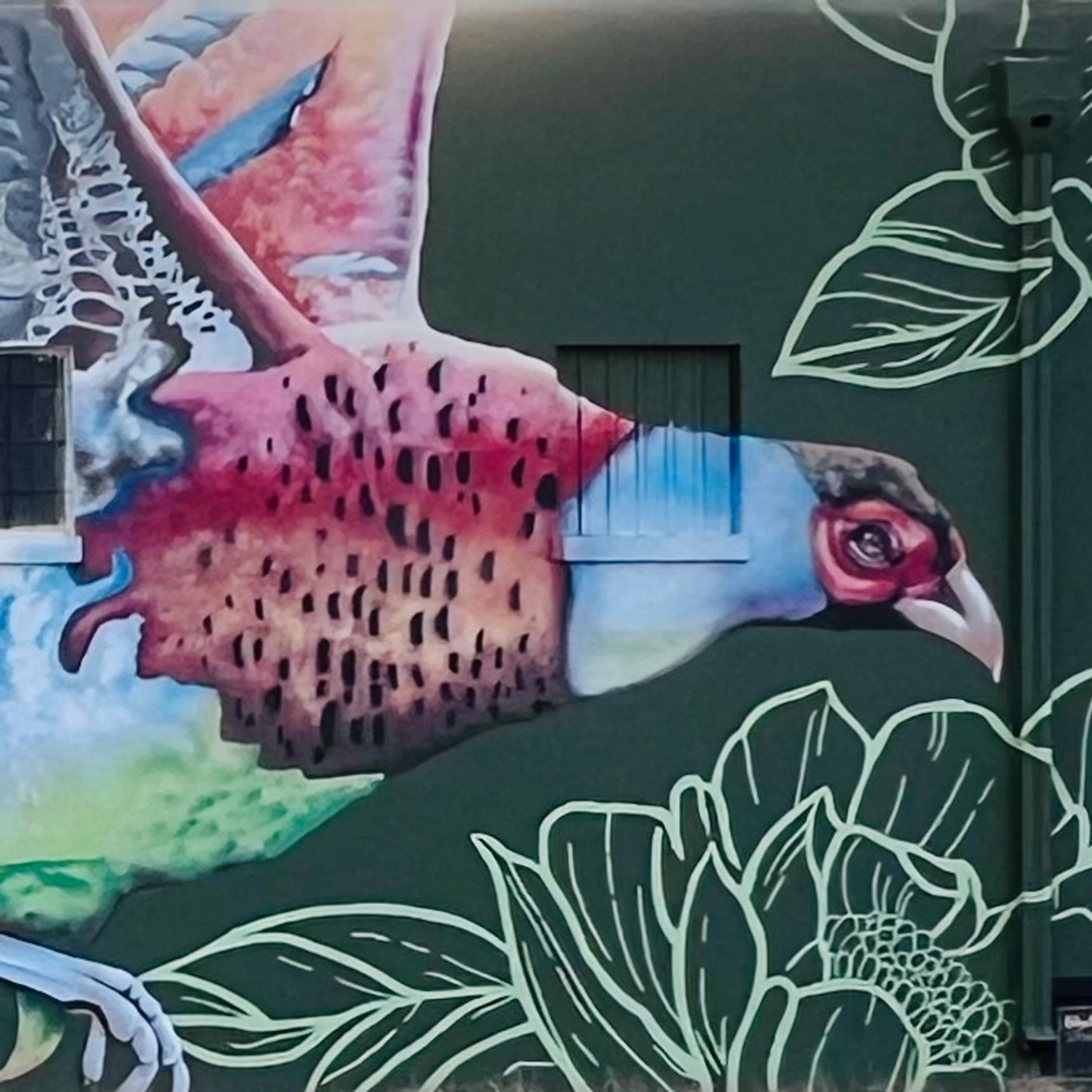 Blank Spaces Murals—Pheasant Mural