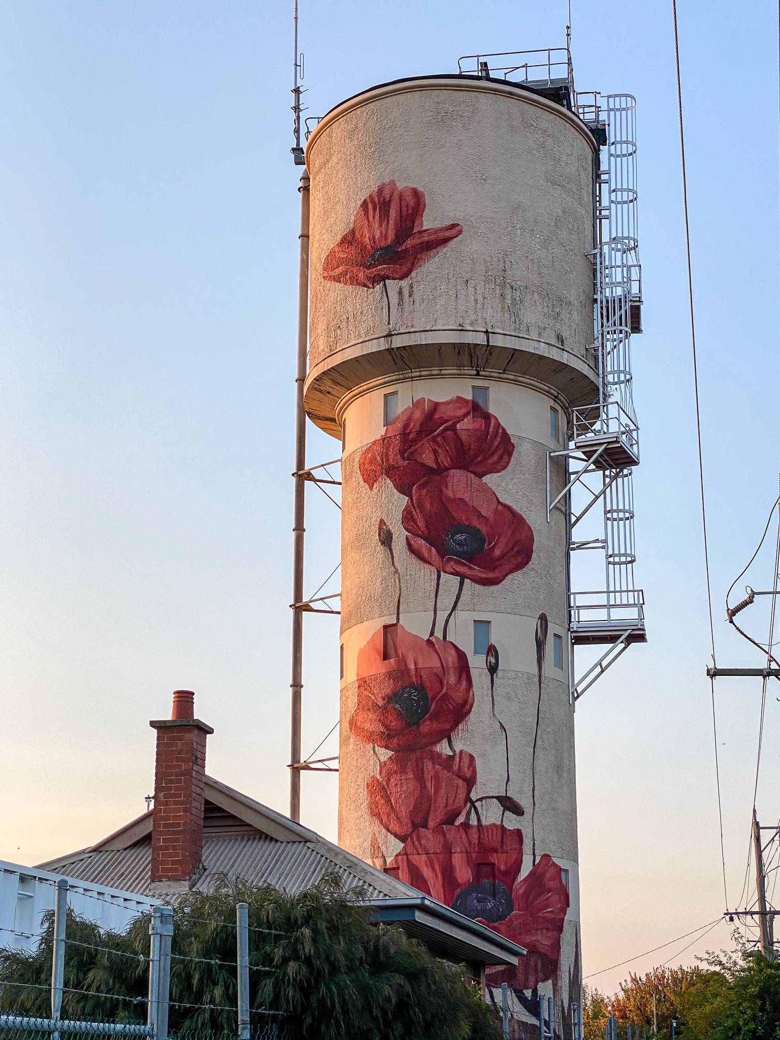 Cam Scale&mdash;Tatura Water Tower