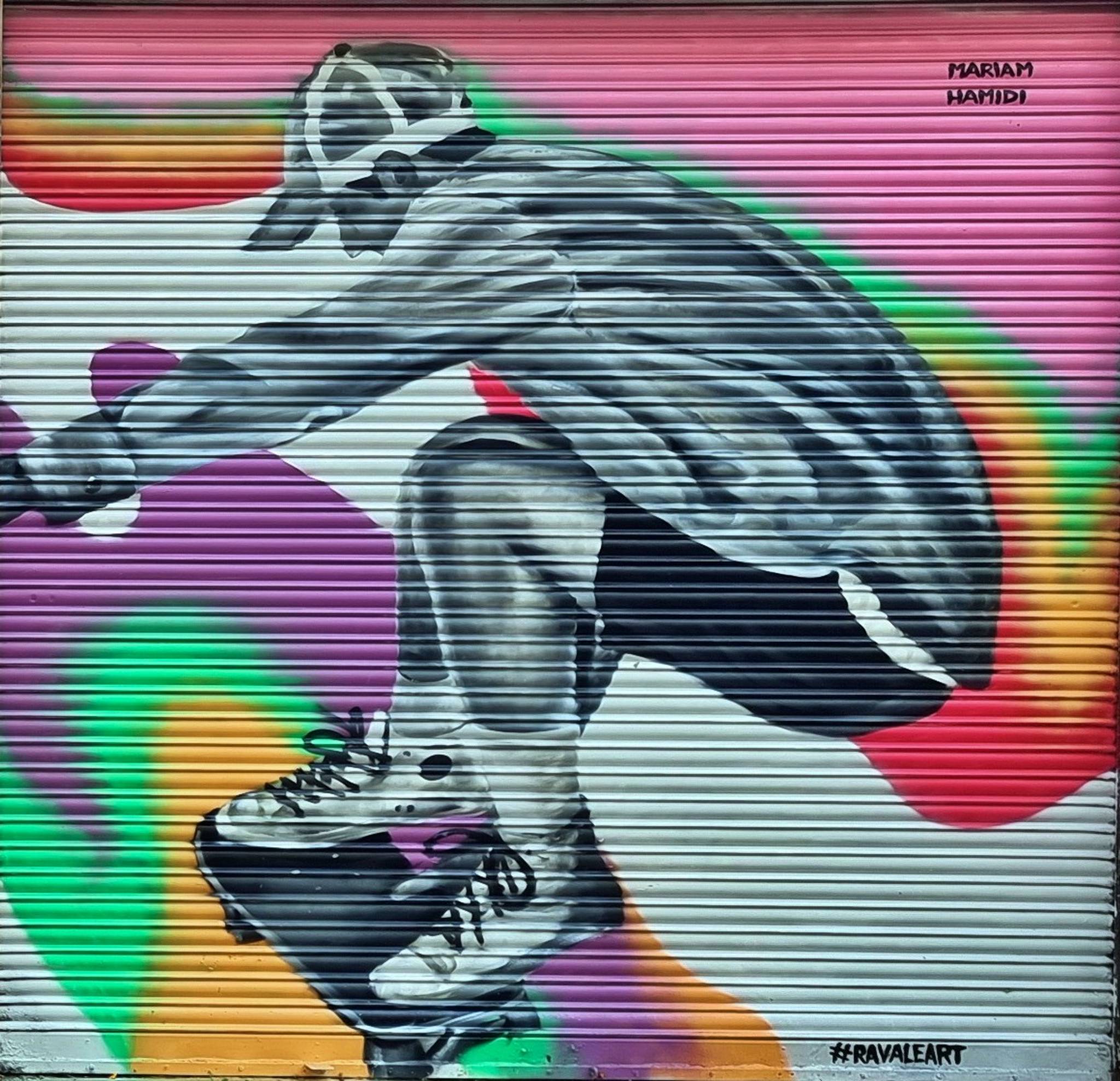 Mariam Hamidi&mdash;Skater