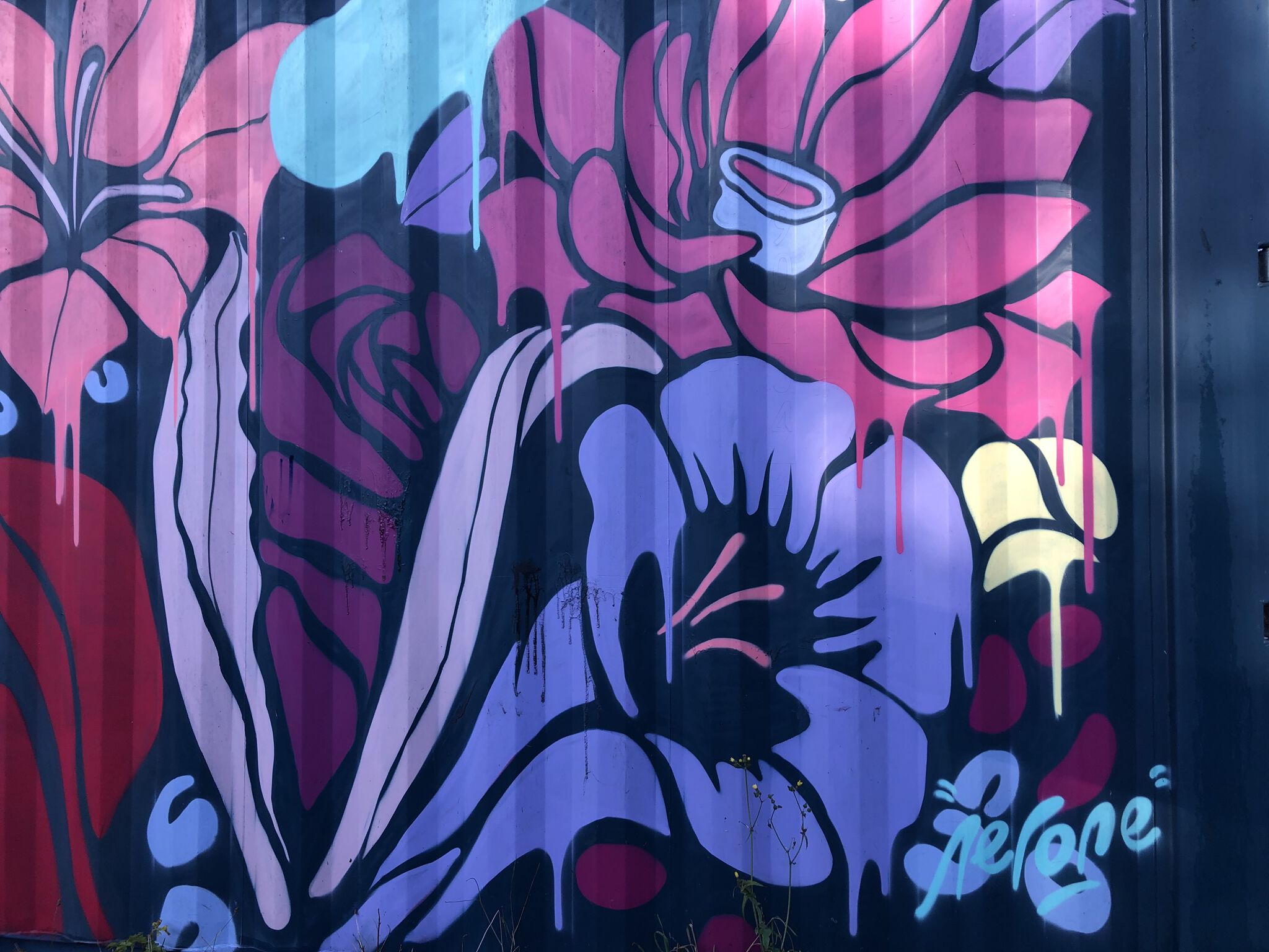 nerone&mdash;Cool Sprayed Street Art on Container
