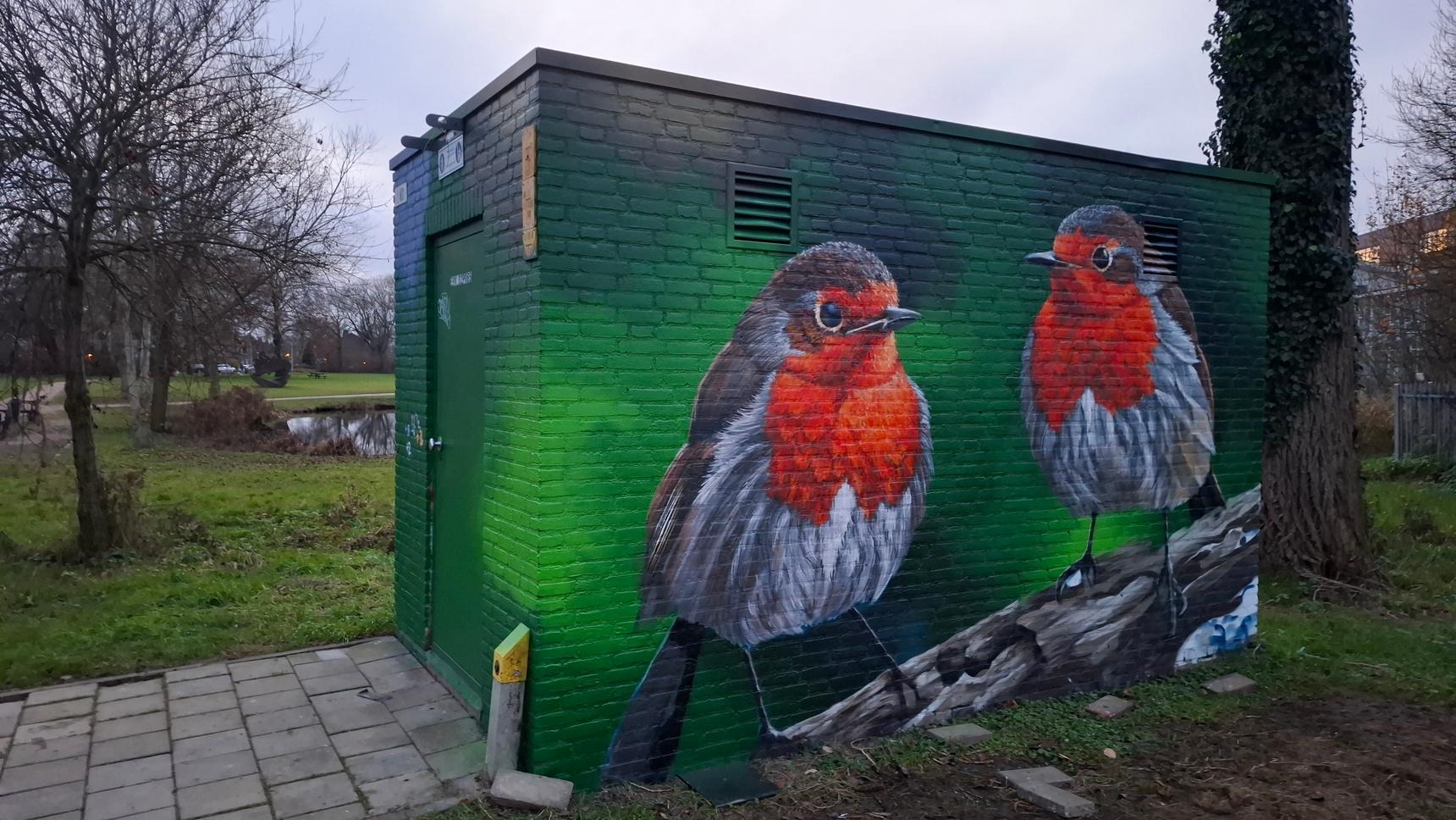 CAZN1—Robins