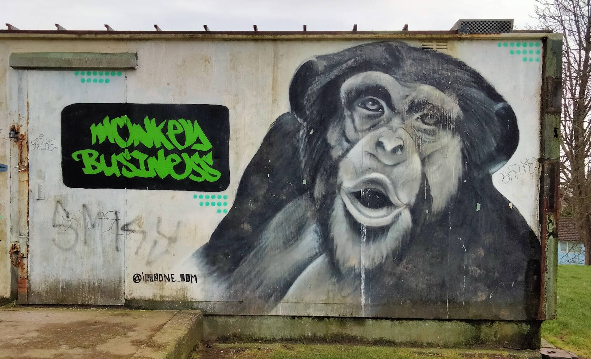 Icanone&mdash;Monkey Business