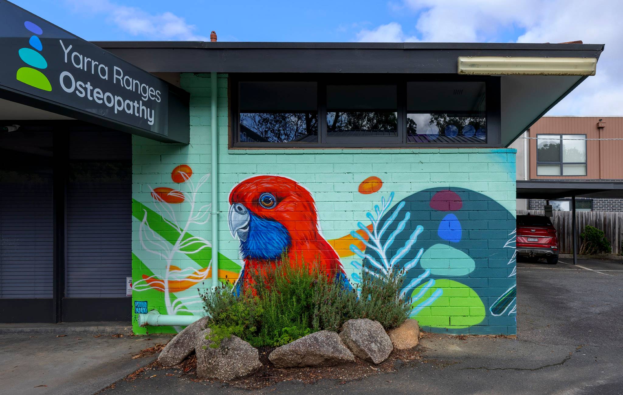 Damian Cazaly&mdash;Crimson Rosella / Rainbow Lorikeet