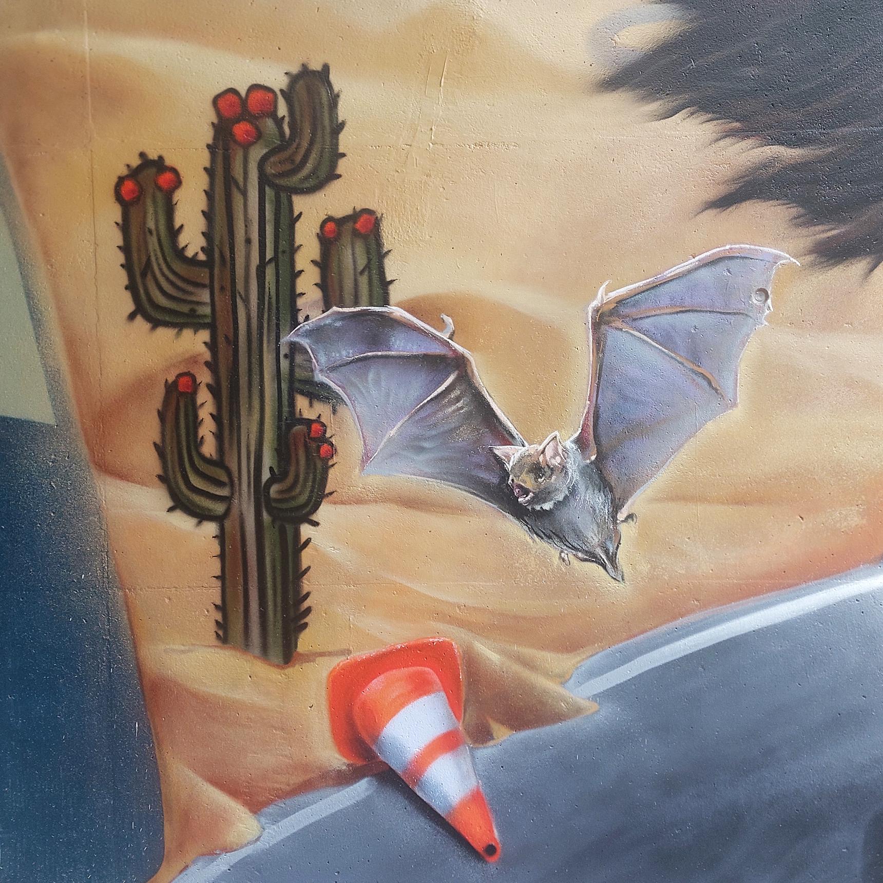 KIWI Wall Art, venkster1—Fear and loathing in L'As Limburg