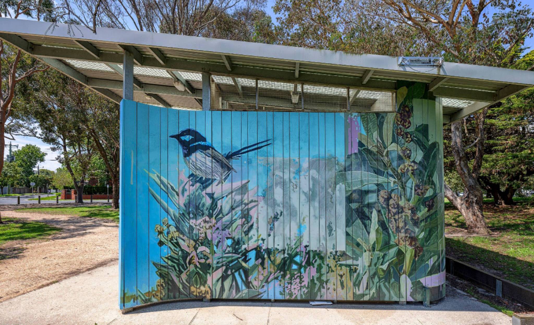 Jason Parker&mdash;Superb Fairywren