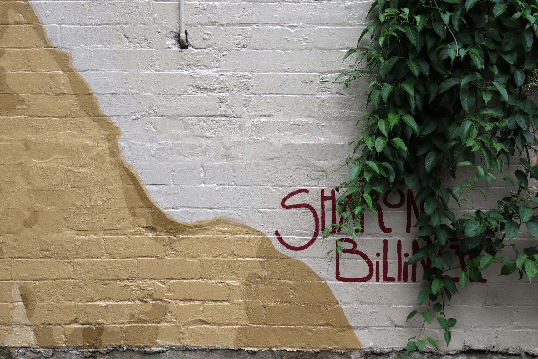Sharon Billinge—Block Party