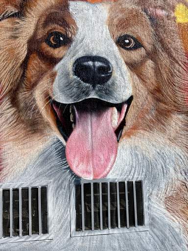Feed item