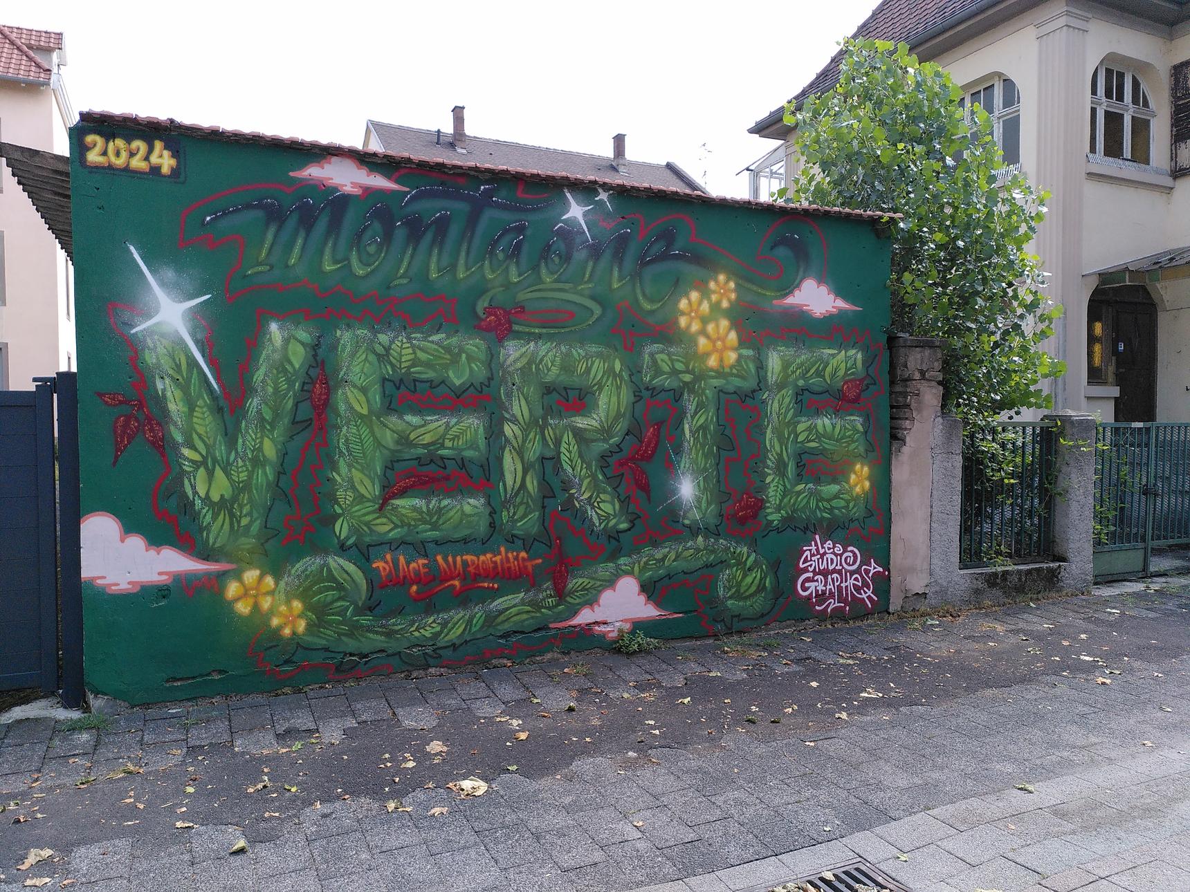 Le studiographe—Montagne Verte