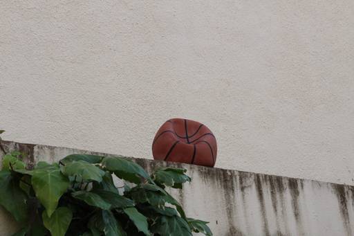 basket ball / pelota de baloncesto
