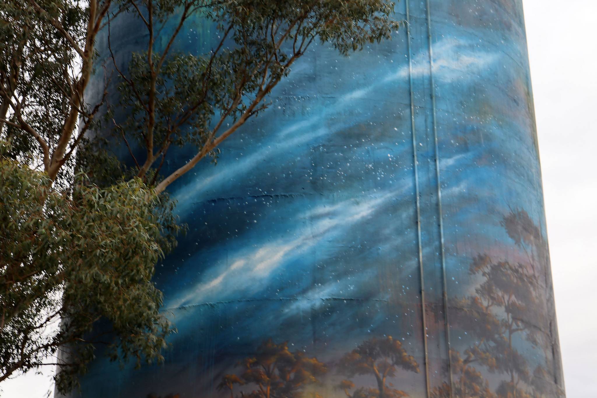 Cam Scale&mdash;Deniliquin Water Tower Mural