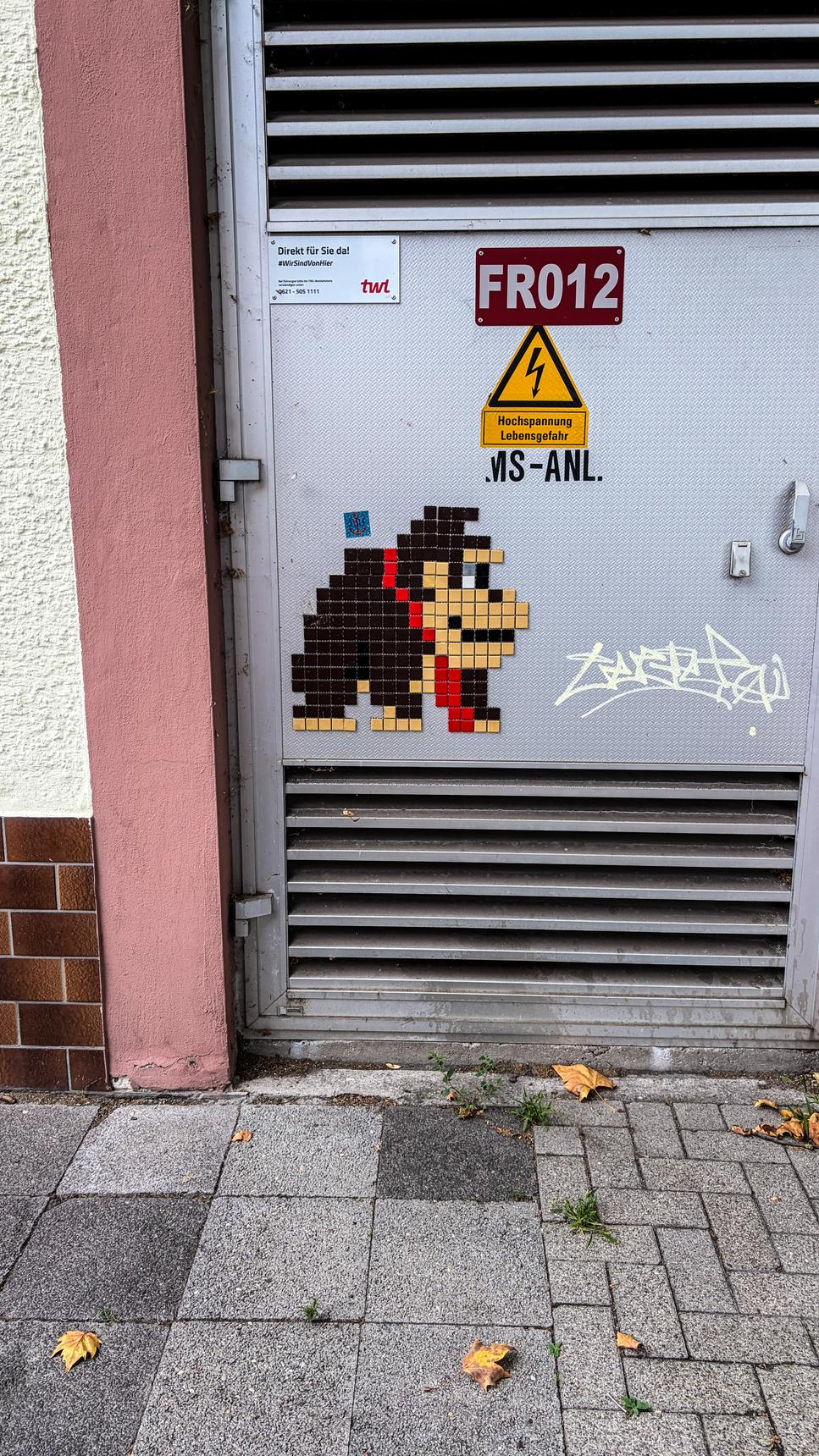 Unknown - Ludwigshafen—Donkey Kong