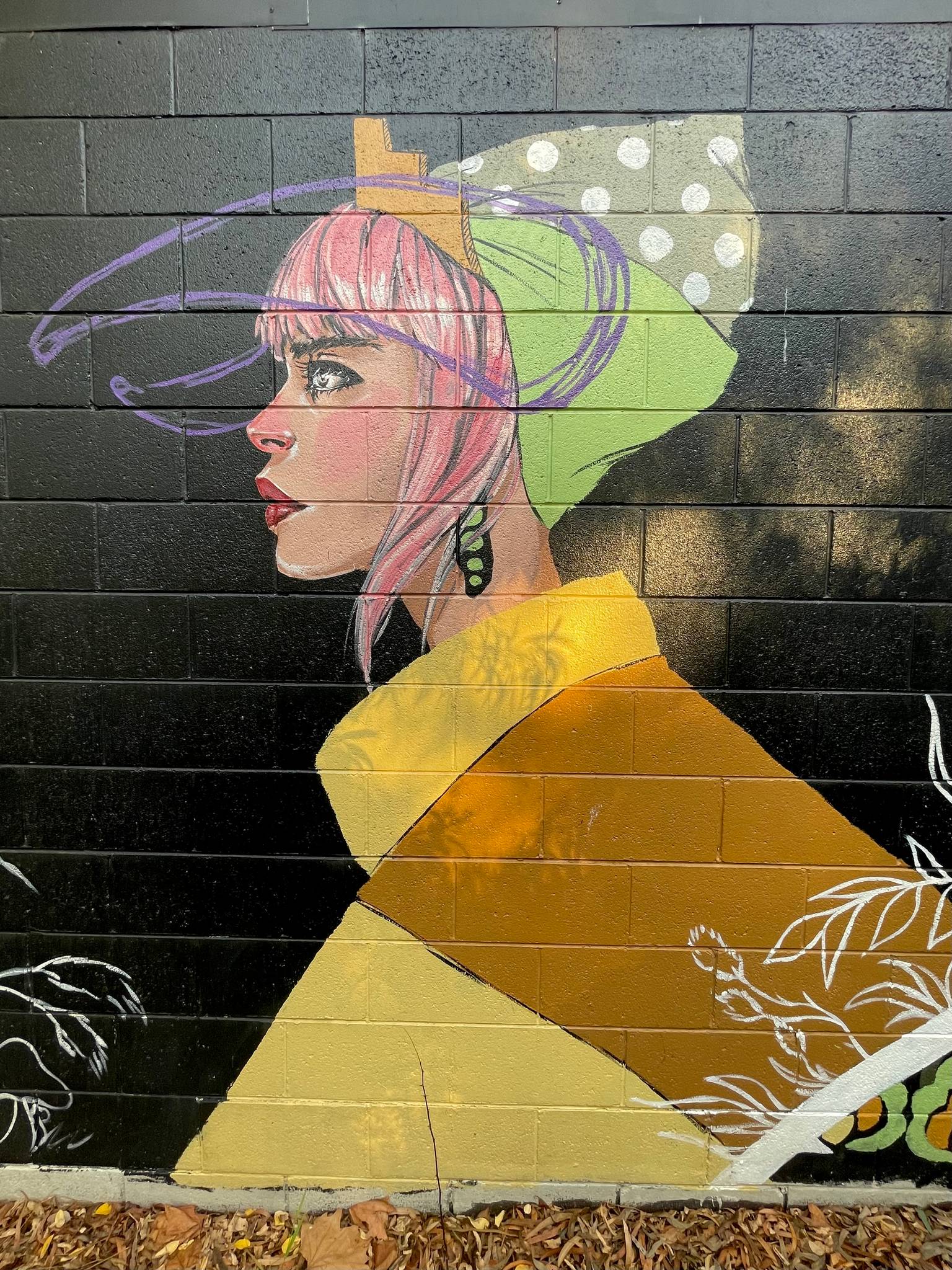 Lucy Lucy&mdash;Smith St Mural