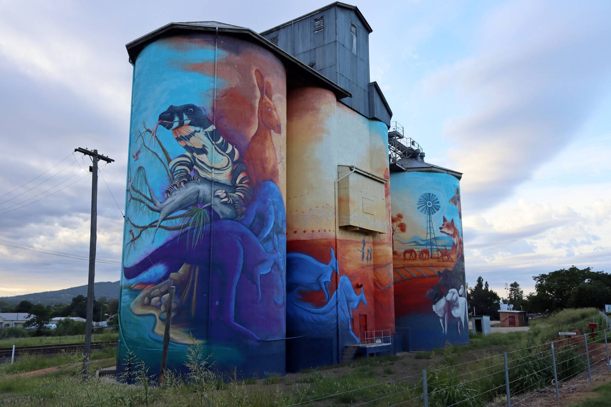 Peter Ryan&mdash;Quirindi Silo Art