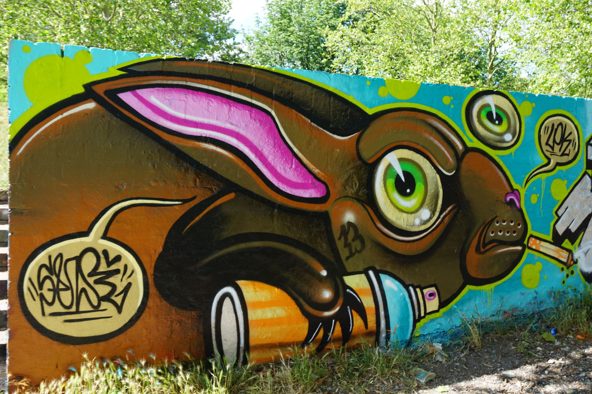Sander Valentijn&mdash;Graffiti hare